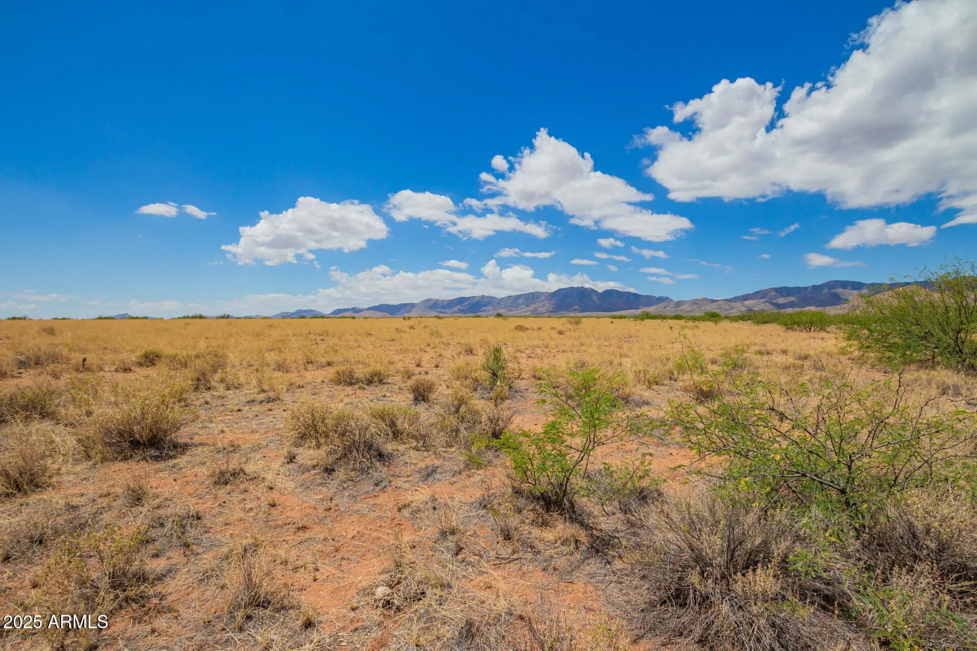 Photo of Listing #6885419