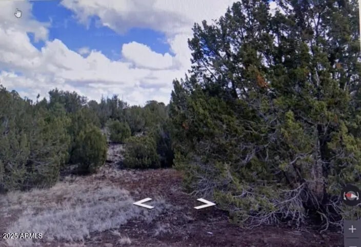 Photo of Listing #6885664