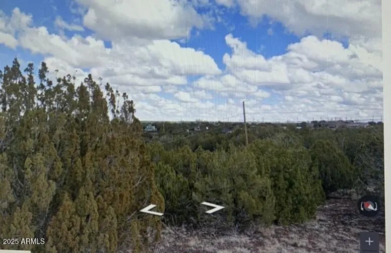 Photo of Listing #6885670