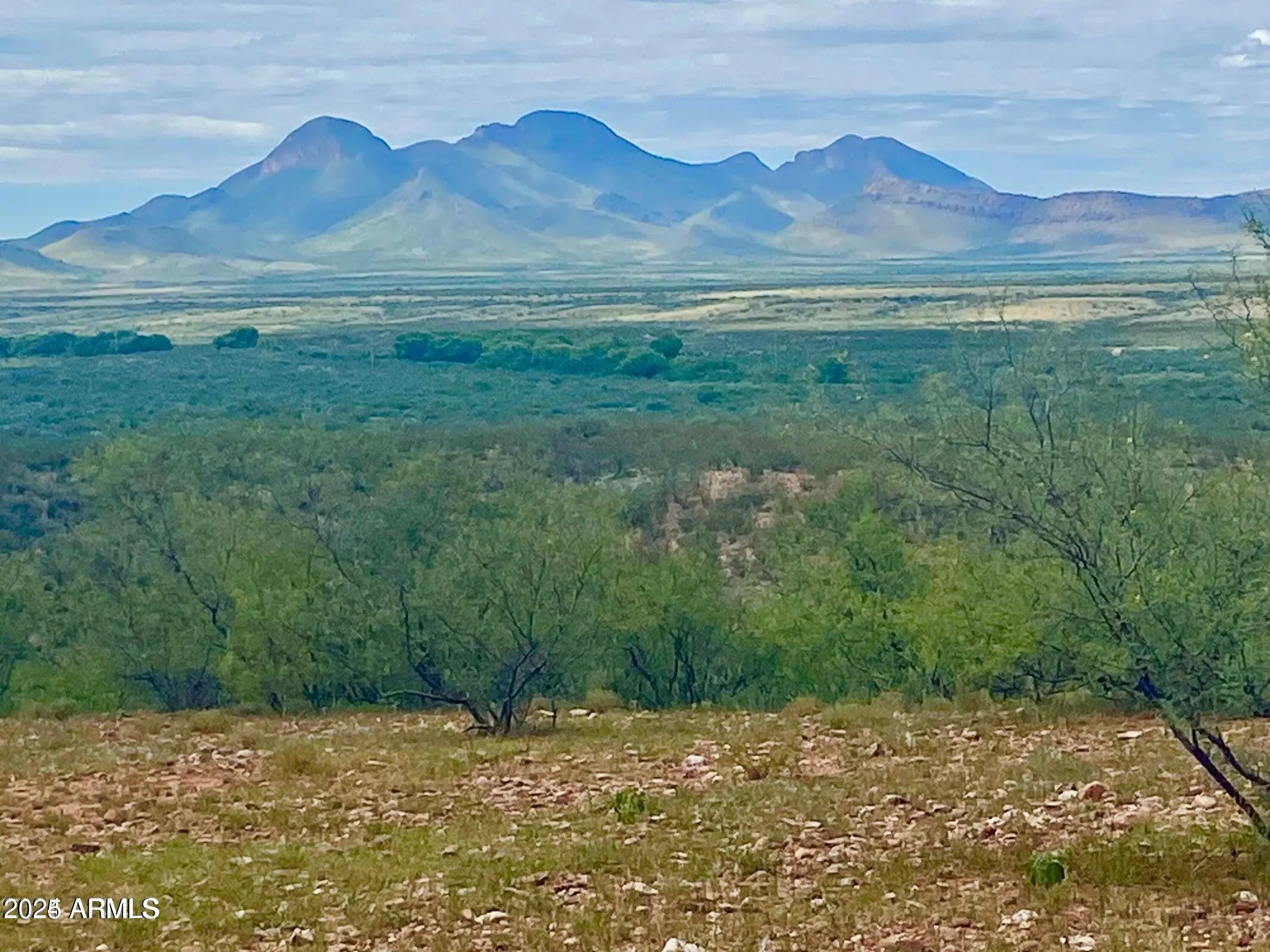 Photo of Listing #6886270