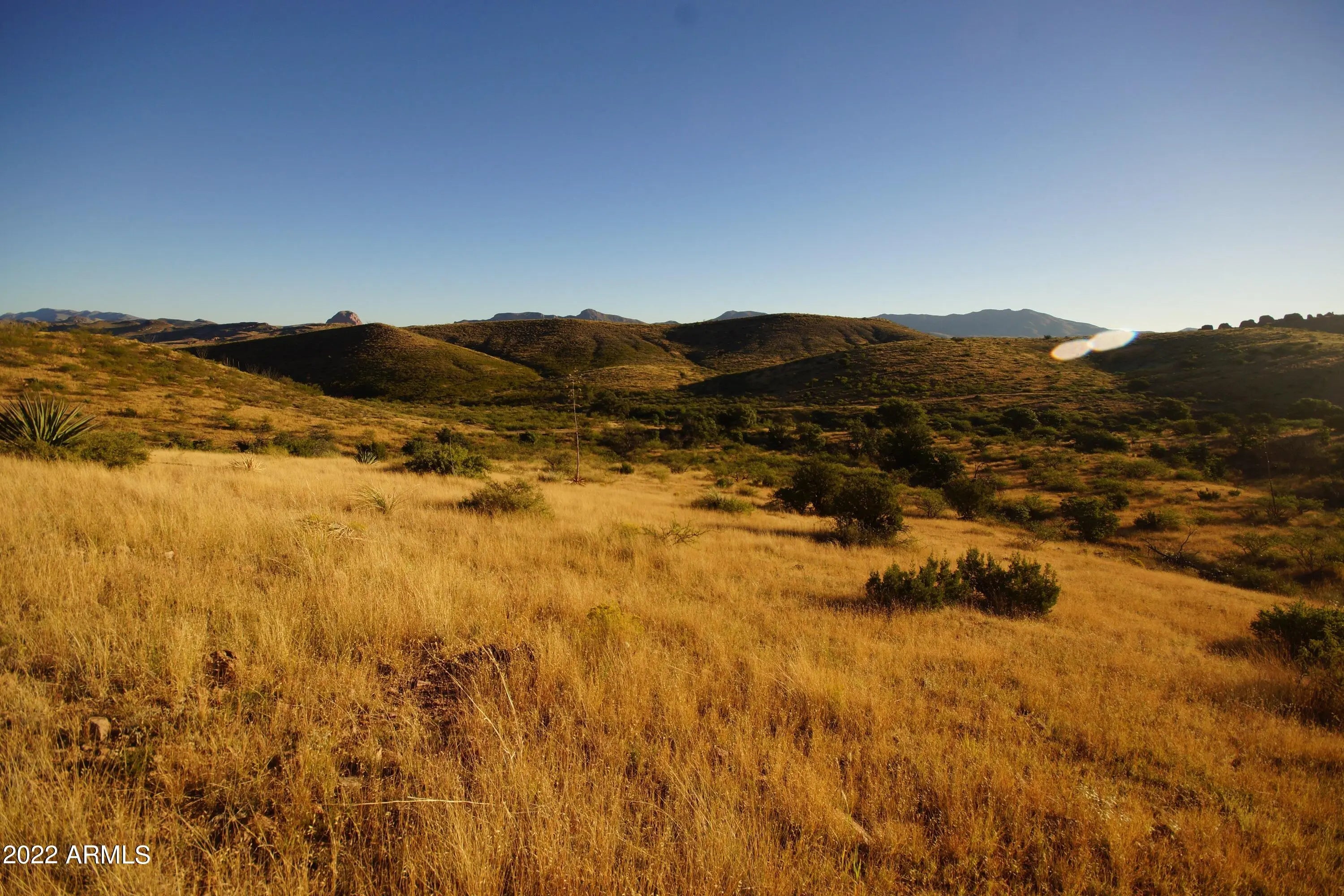 Photo of Listing #6888427