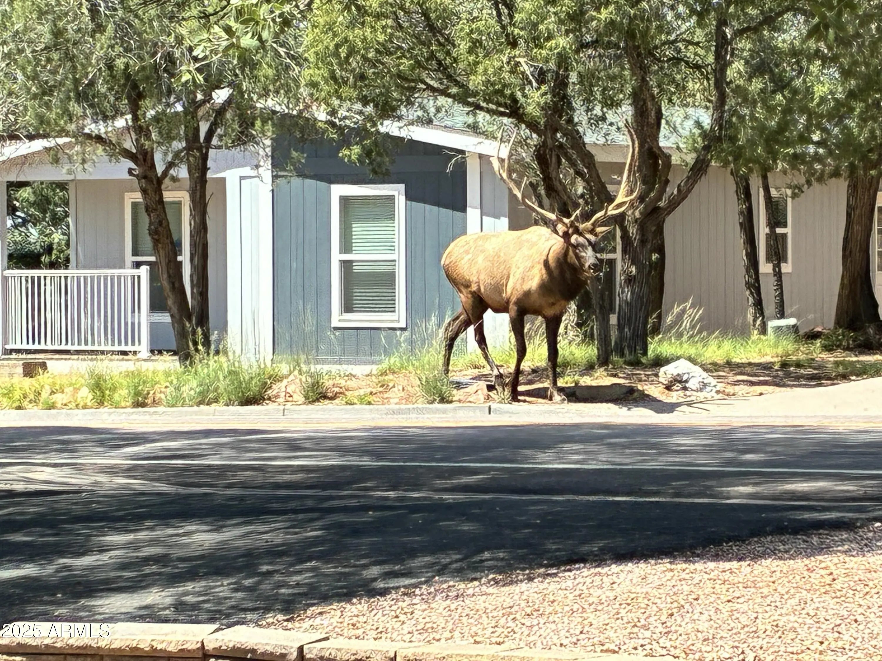 Photo of Listing #6889002