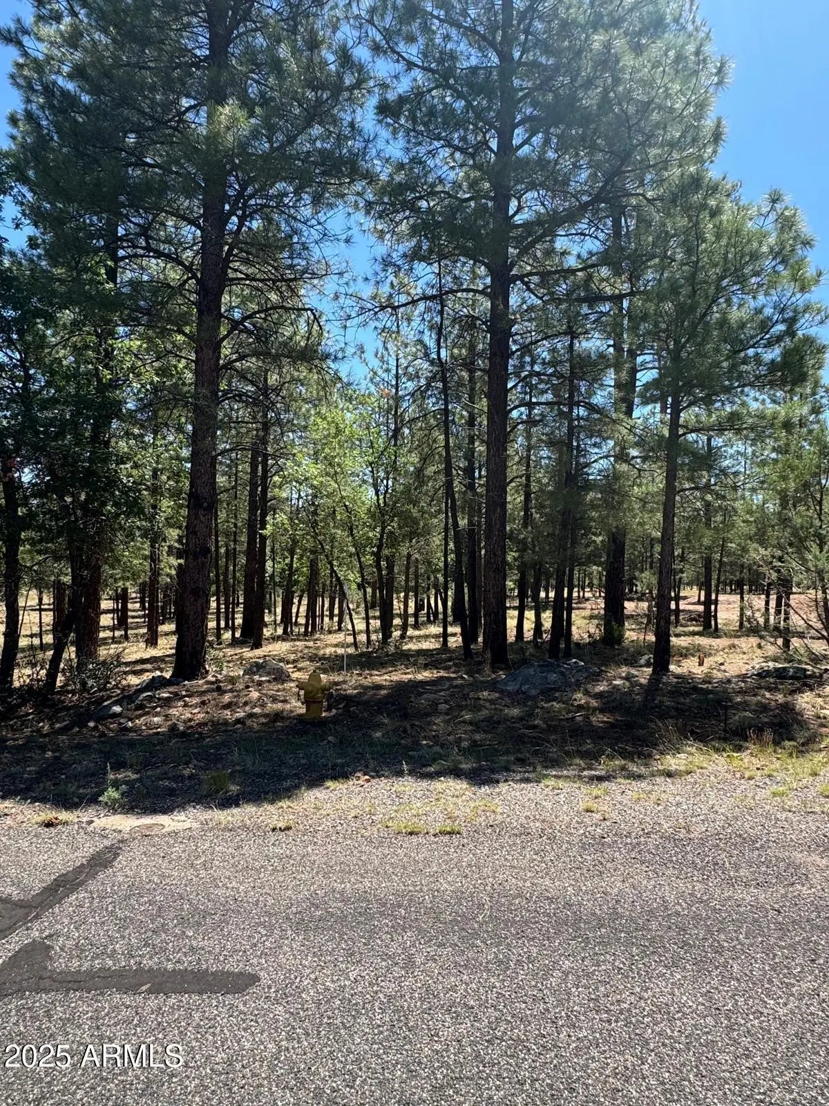 Photo of Listing #6888945