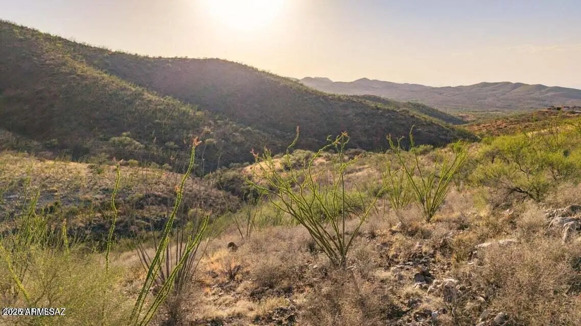 Photo of Listing #6888872