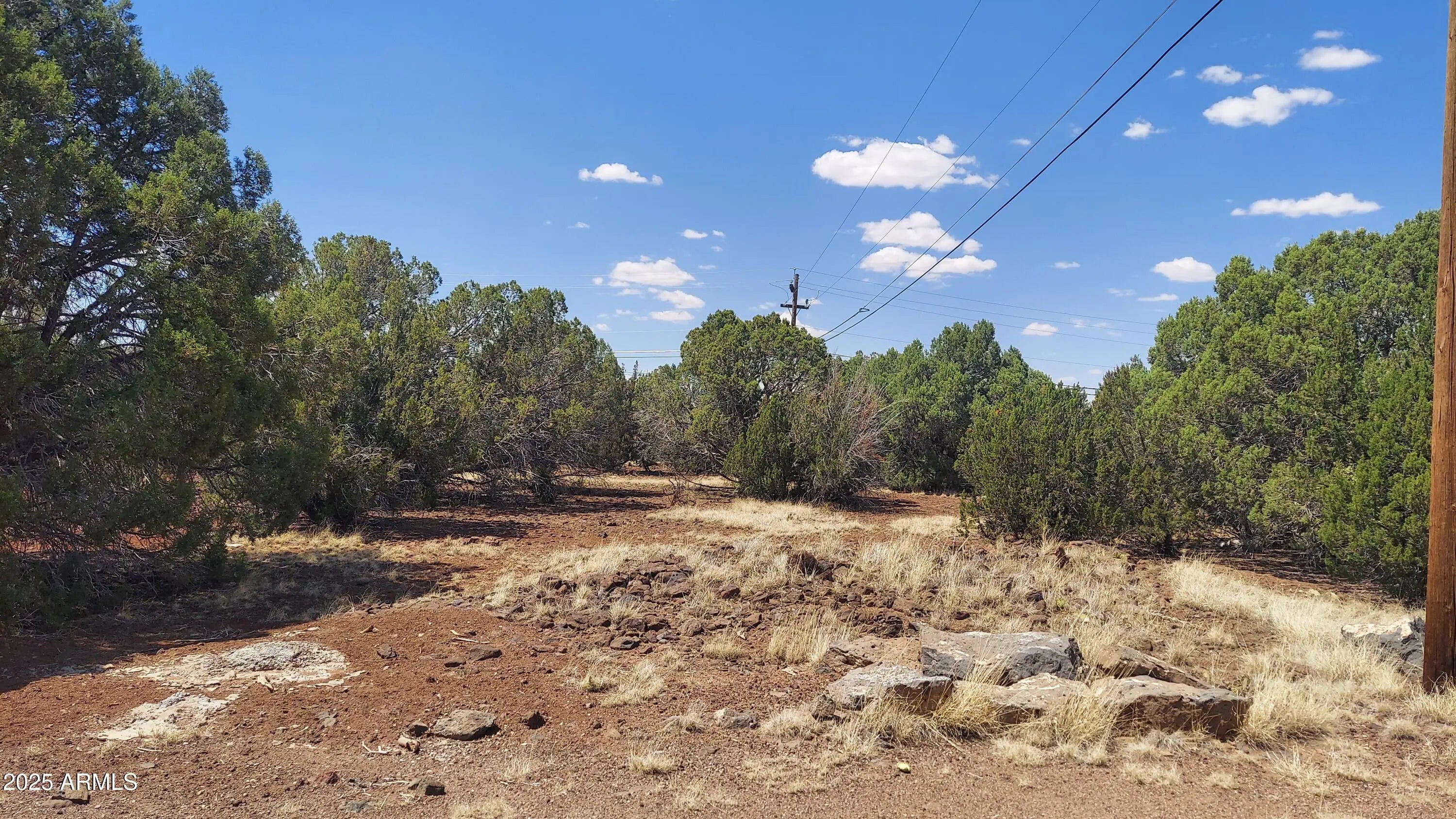 Photo of Listing #6888943