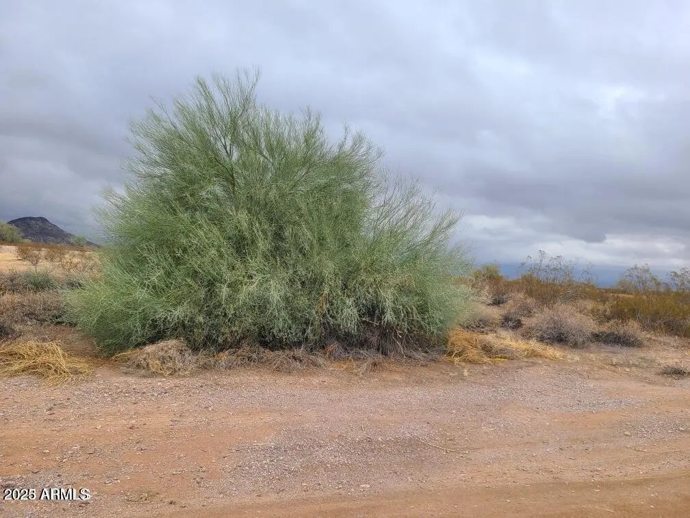 Photo of Listing #6889451