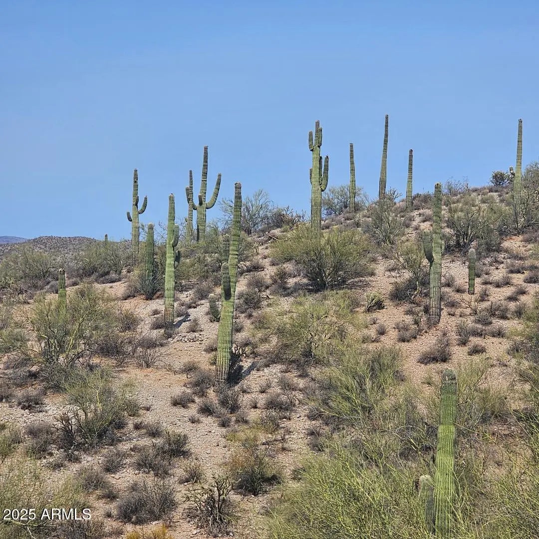 Photo of Listing #6894704