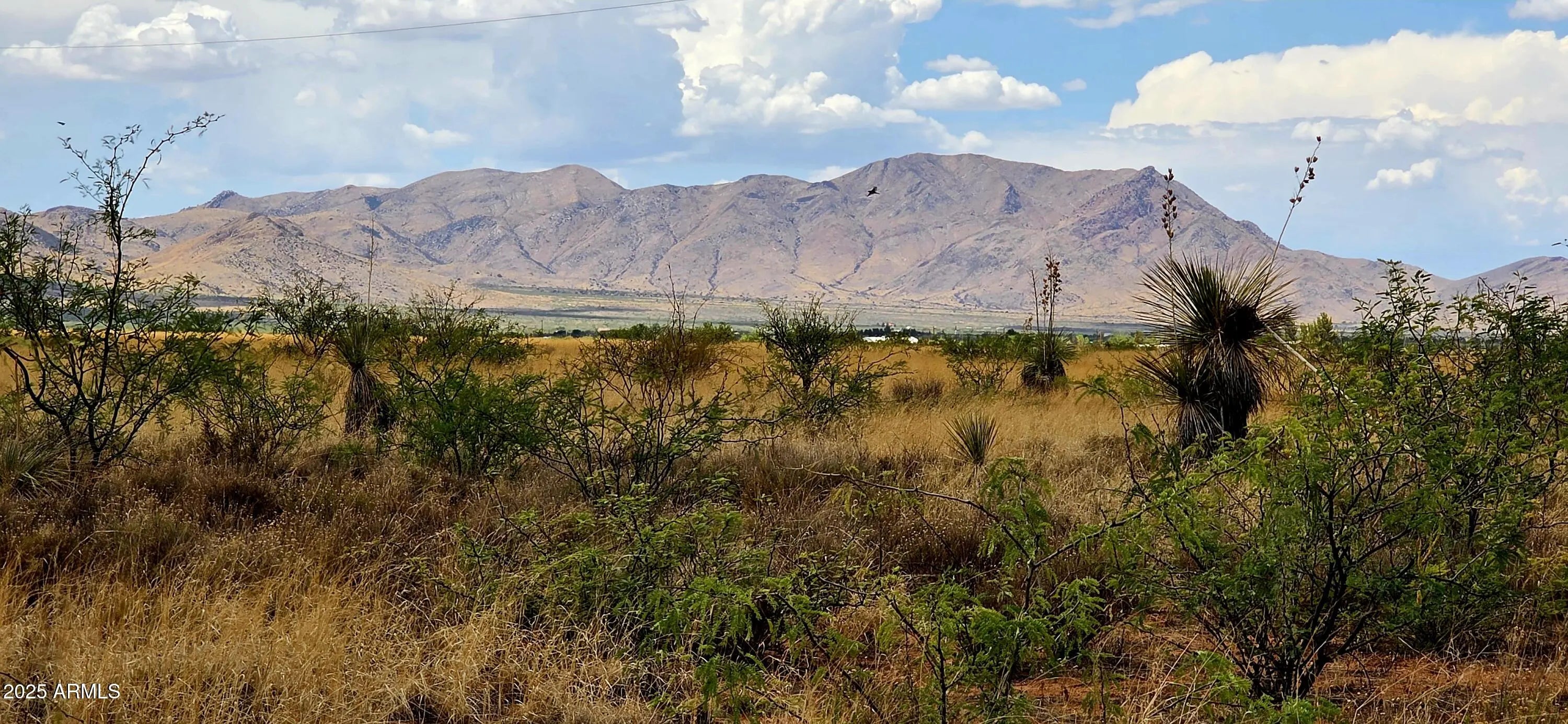 Photo of Listing #6889850