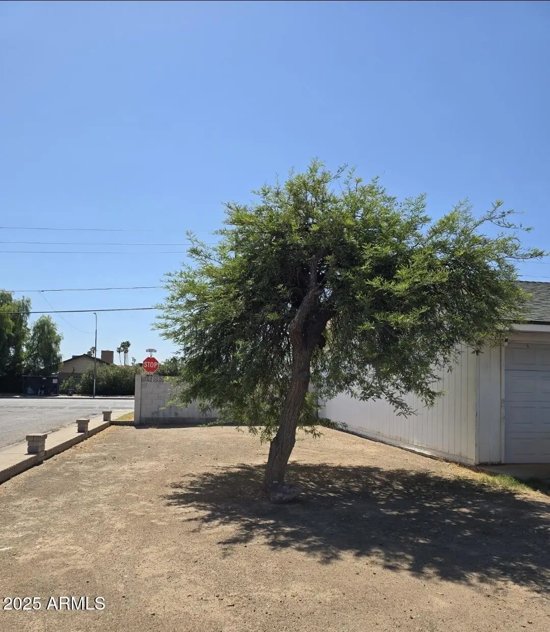 Photo of Listing #6891125