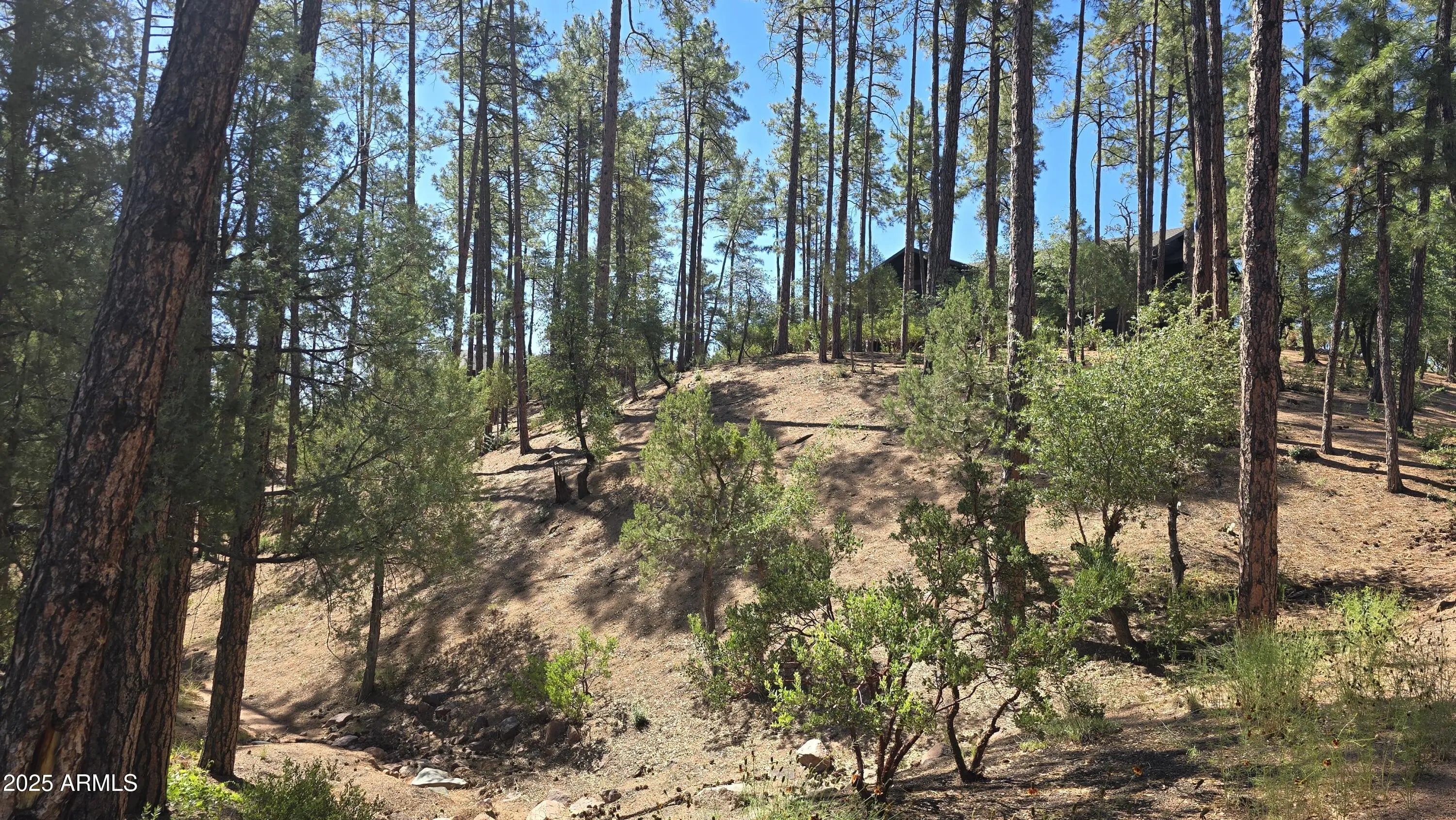 Photo of Listing #6891007