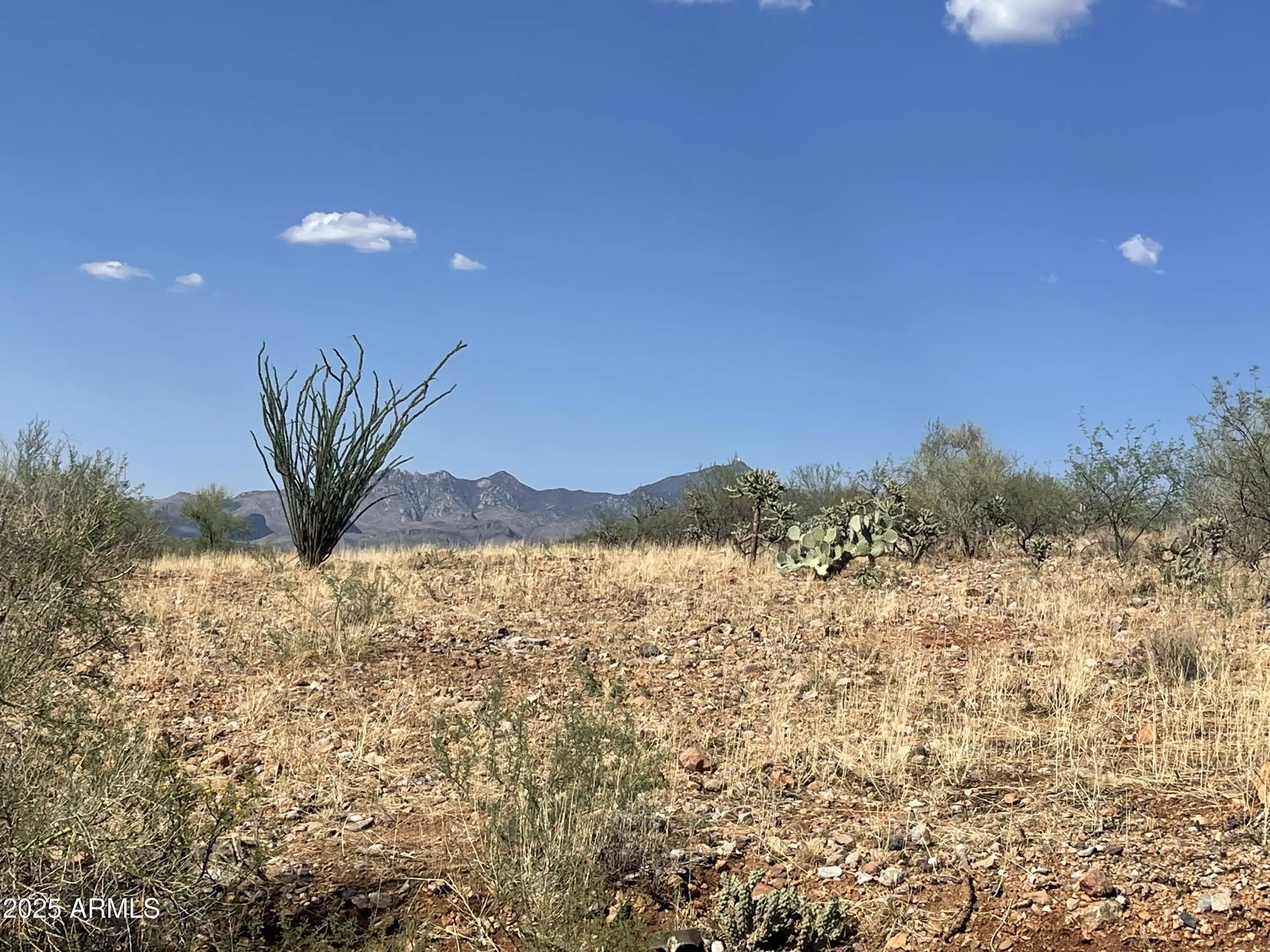 Photo of Listing #6891742