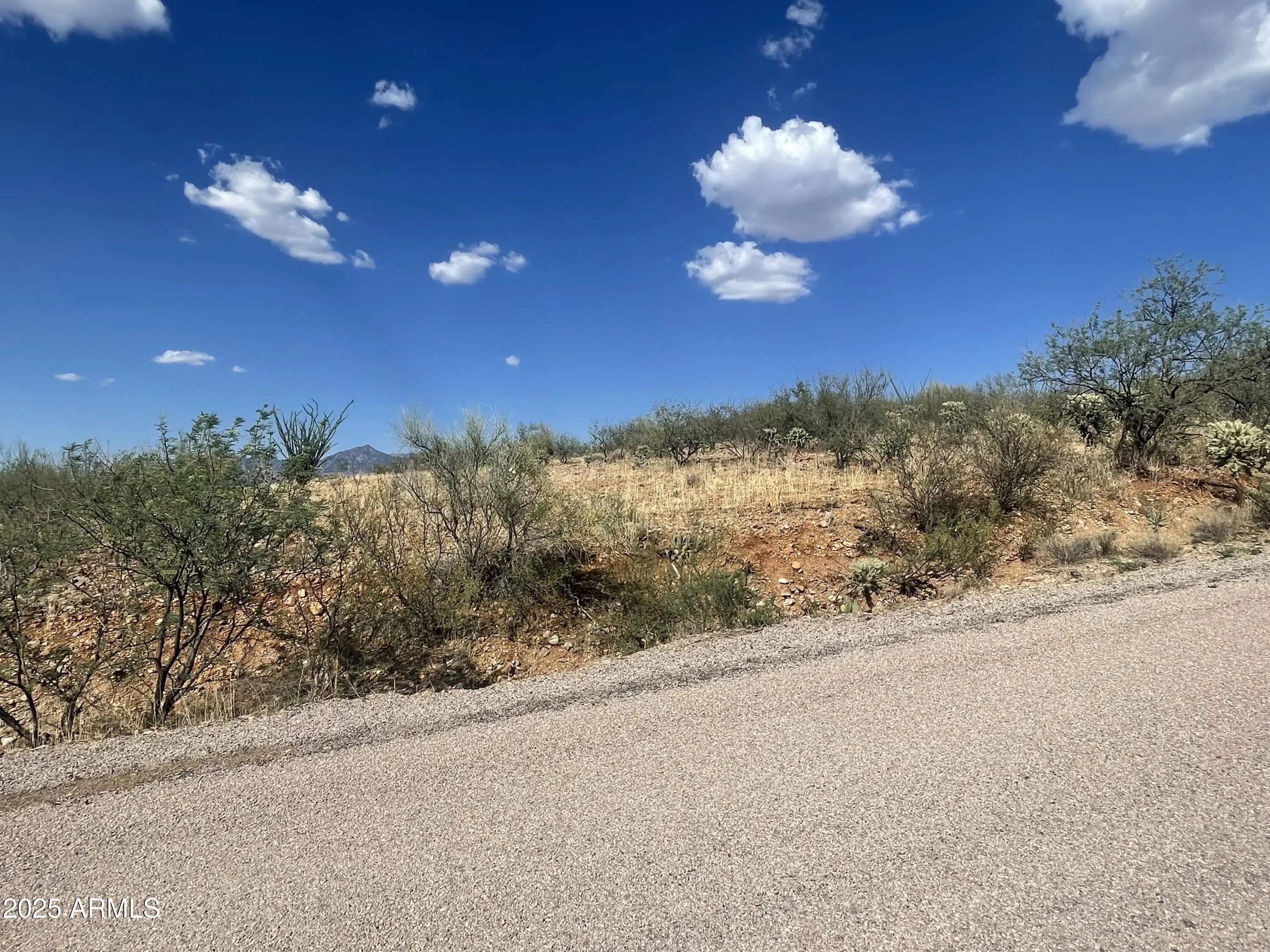 Photo of Listing #6891763