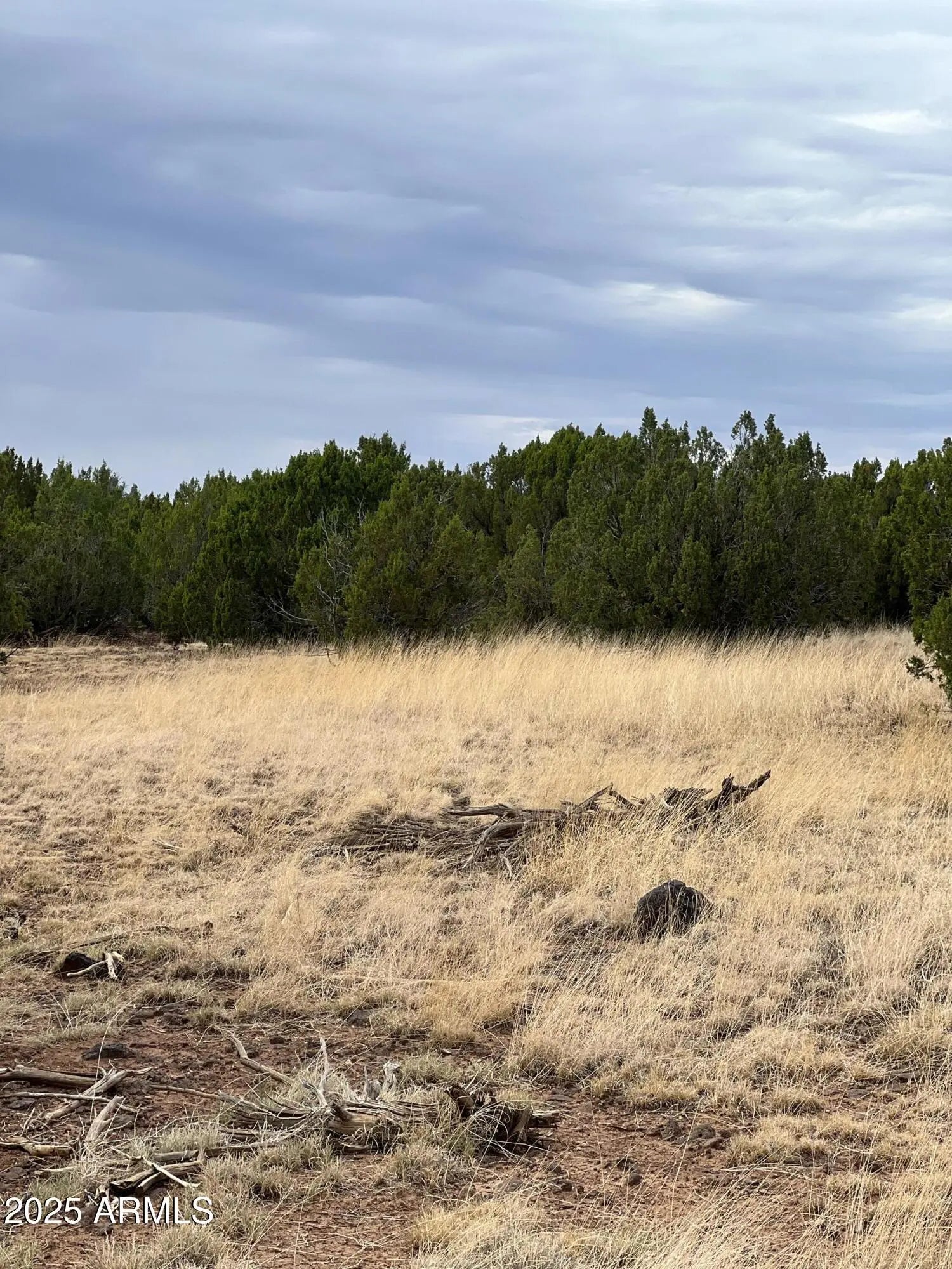 Photo of Listing #6892653