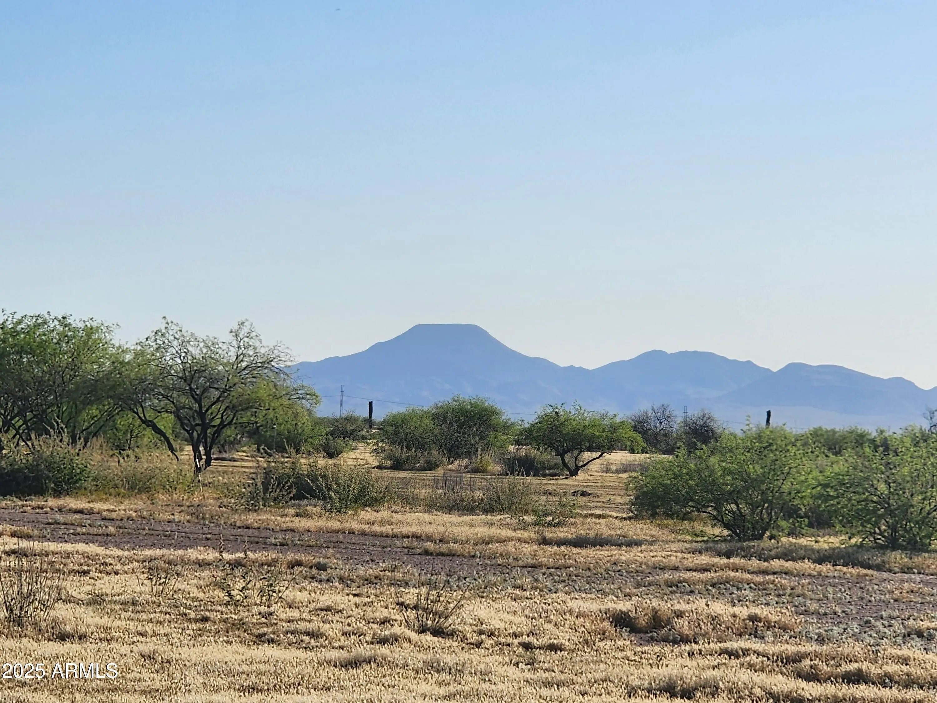 Photo of Listing #6892791