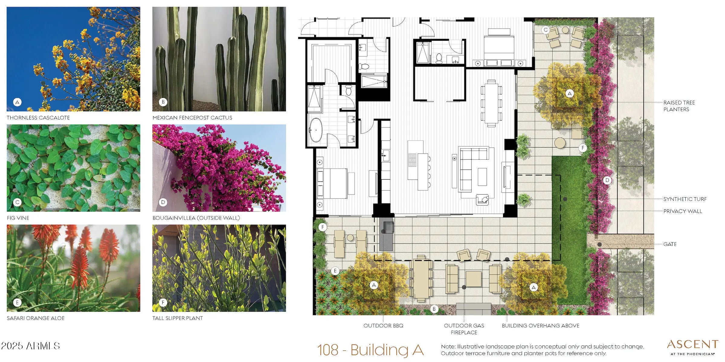 Photo of Listing #6893438