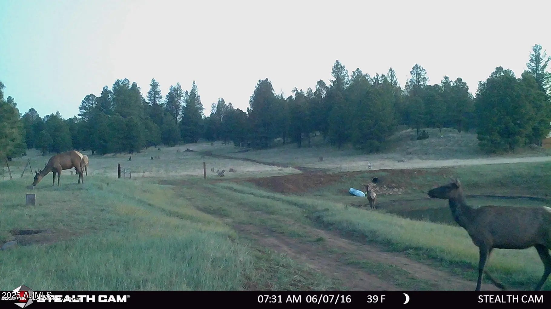 Photo of Listing #6893257