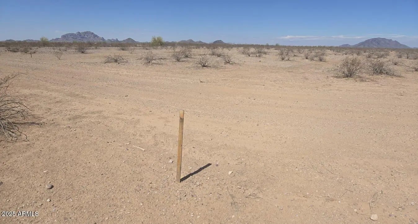 Photo of Listing #6896629