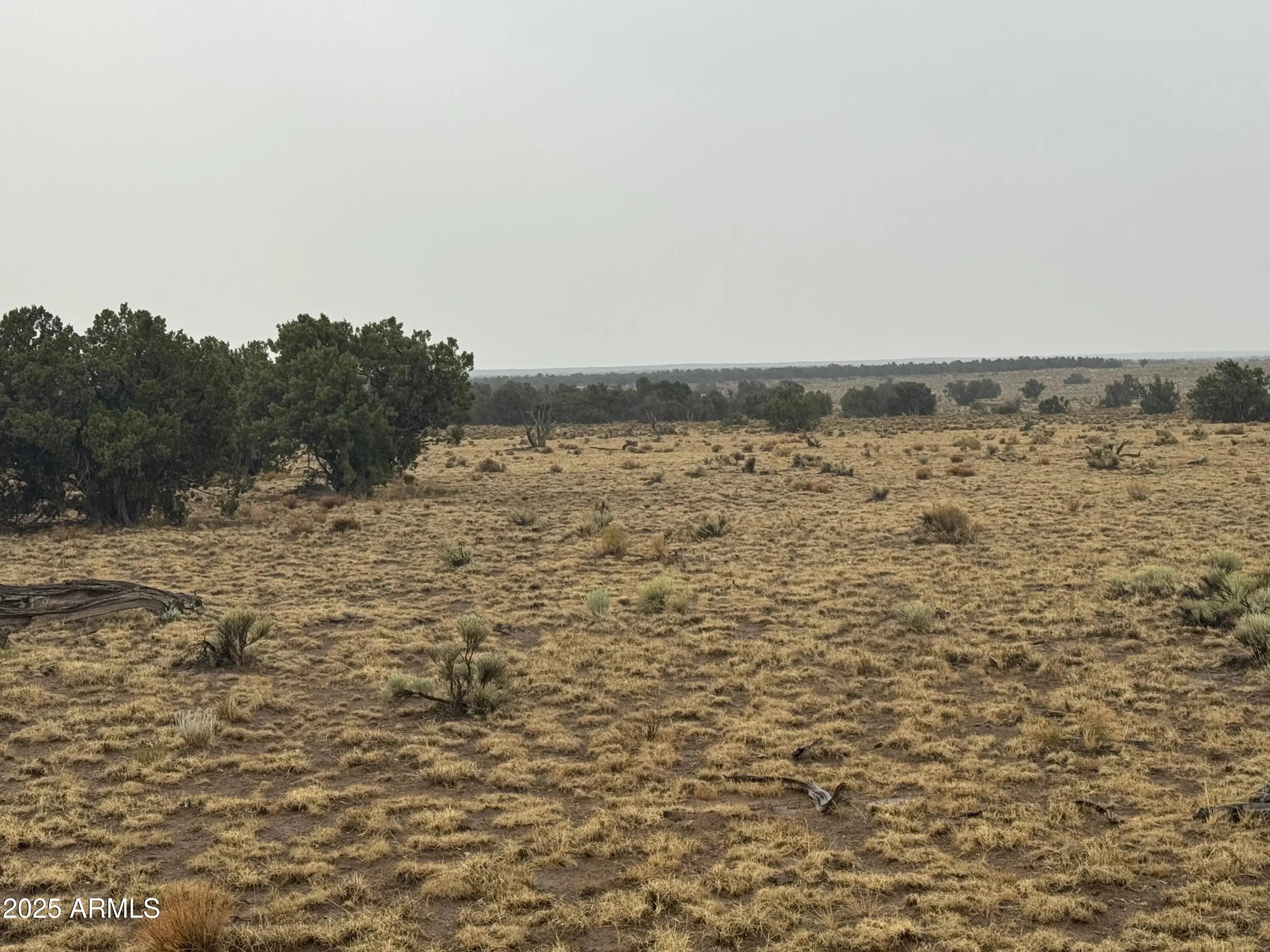 Photo of Listing #6894646