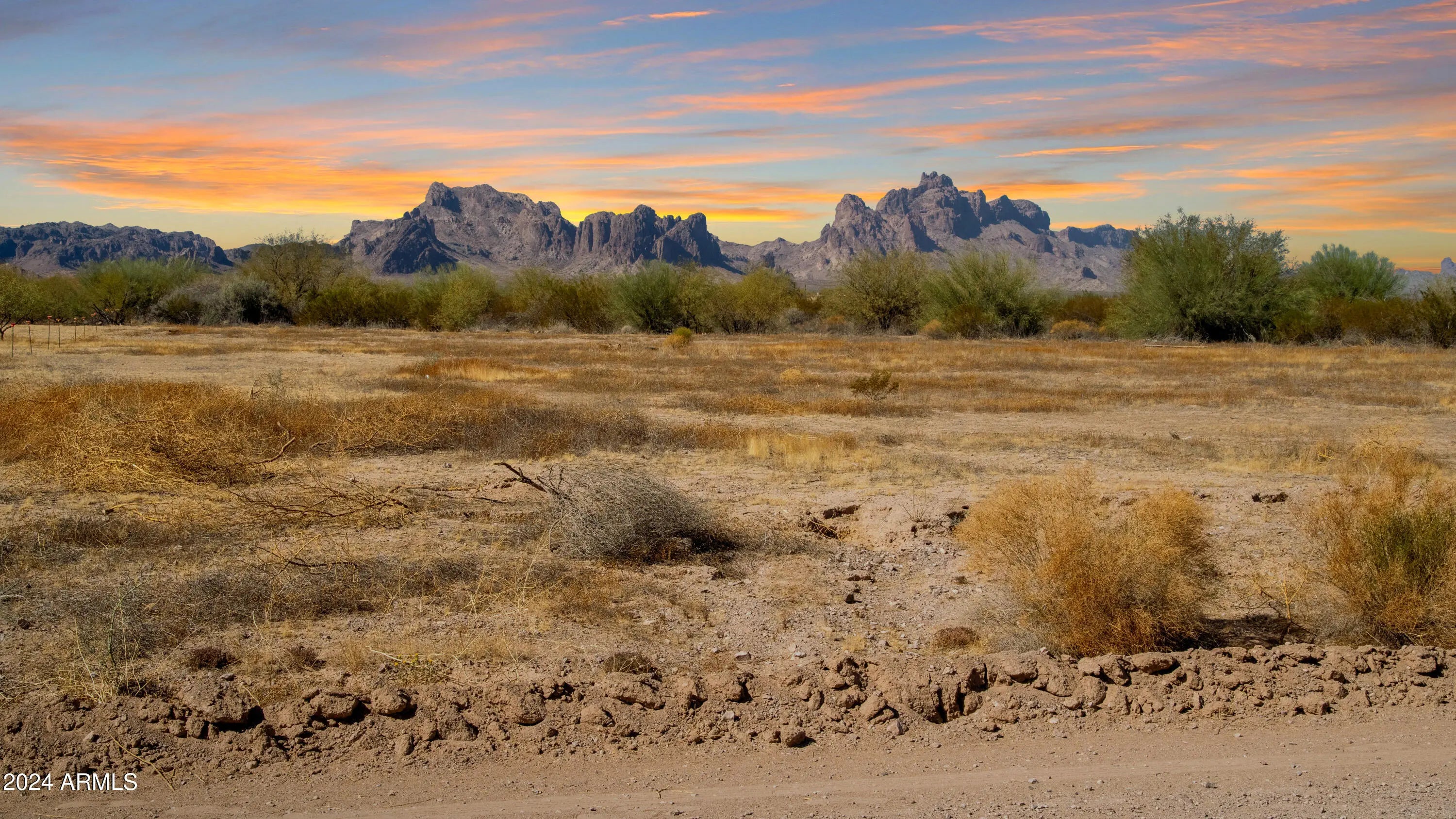 Photo of Listing #6894344