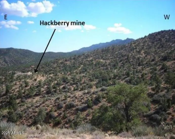 Photo of Listing #6895336