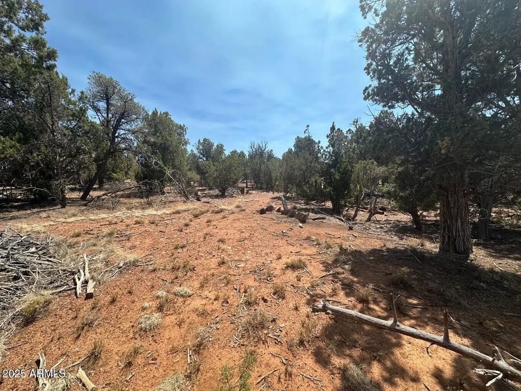 Lot #2 Power Line Road (unit S), Heber