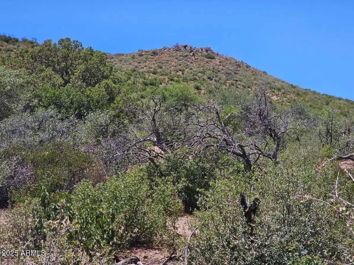 Photo of Listing #6895204