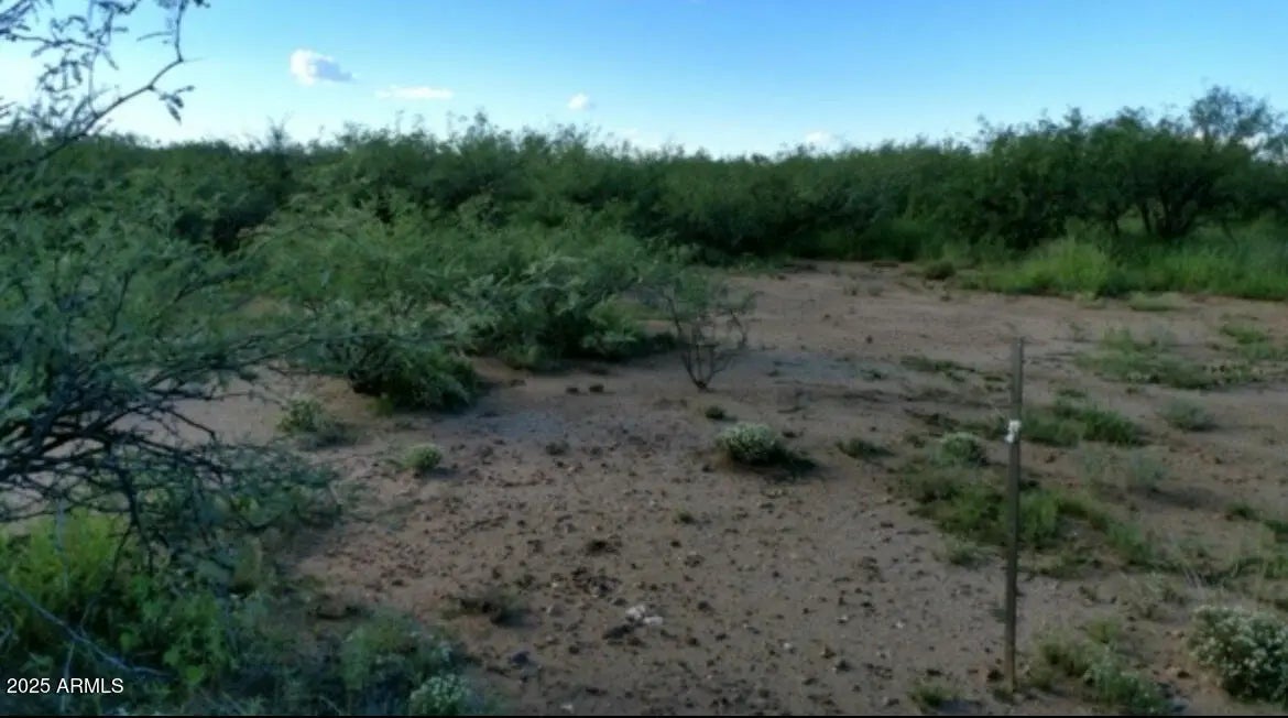 Photo of Listing #6896389