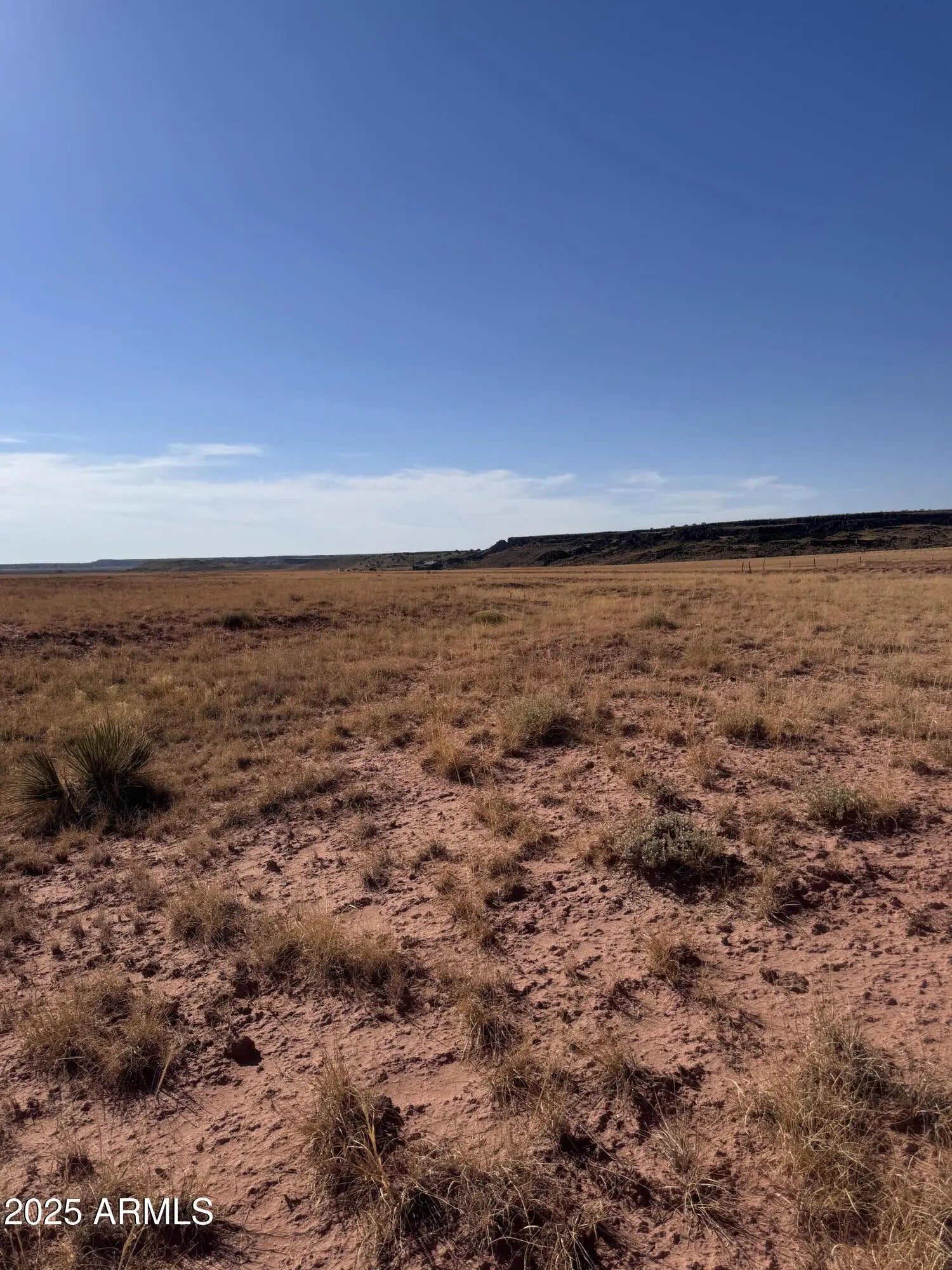 Photo of Listing #6897200