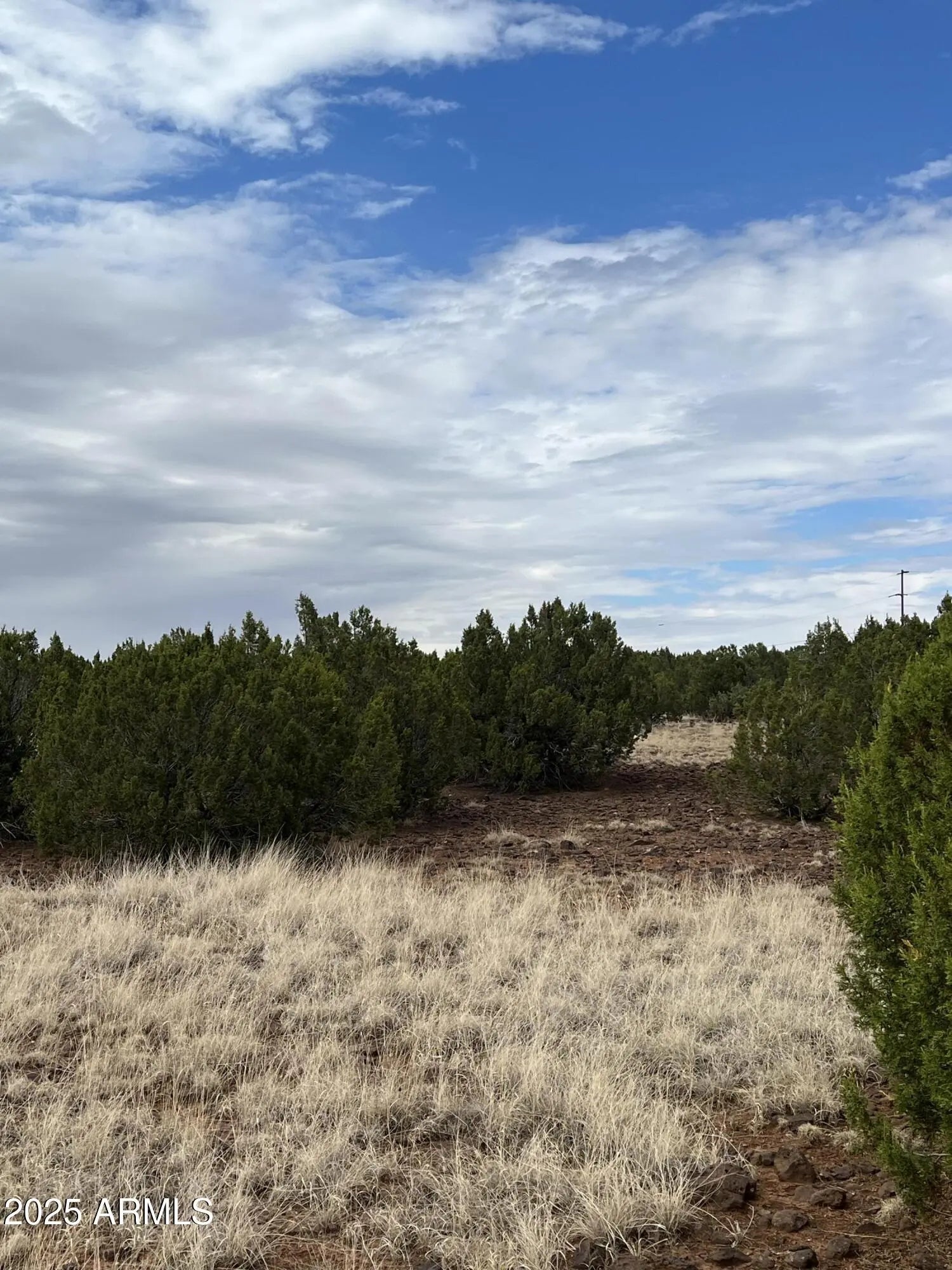 Photo of Listing #6897573