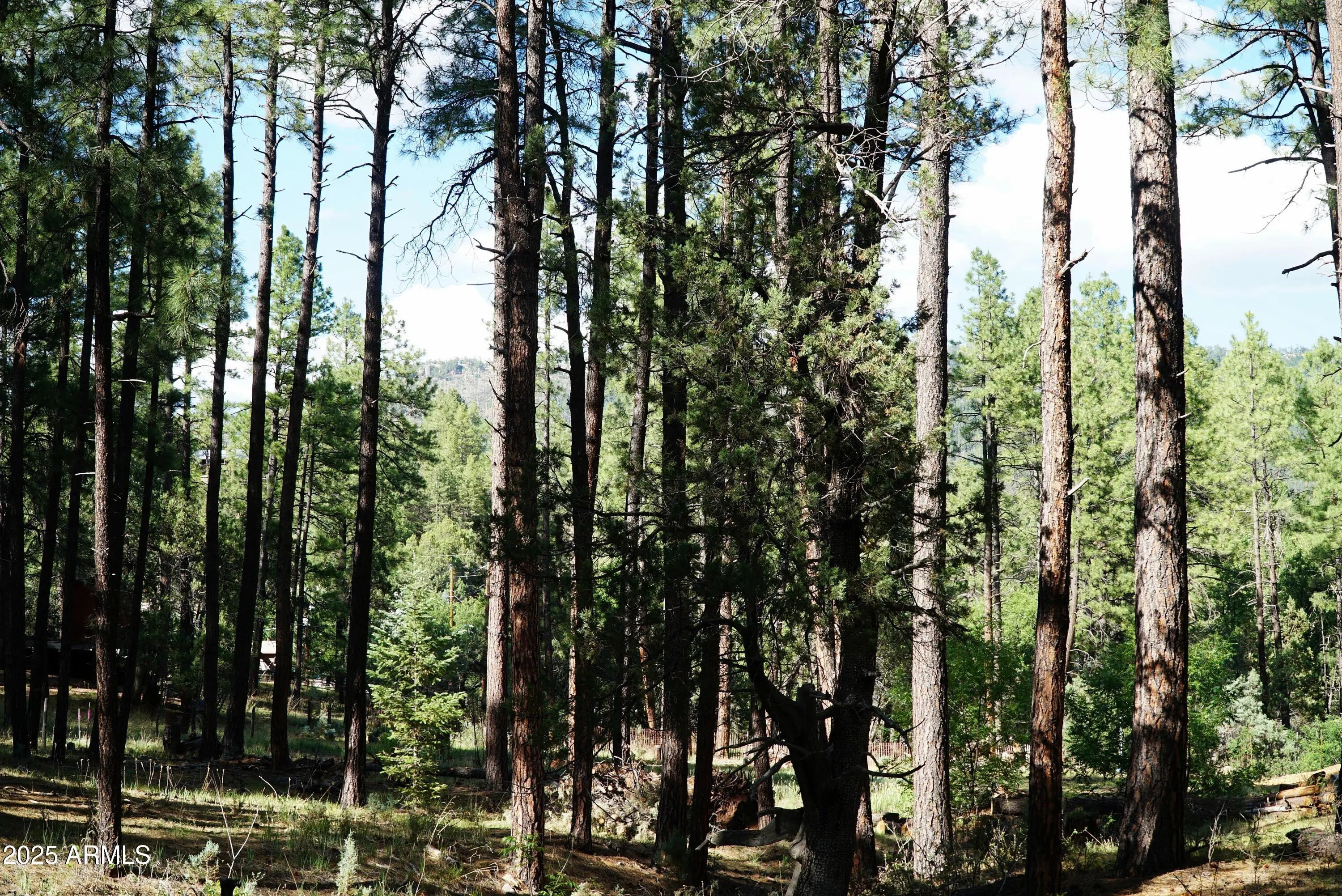 Photo of Listing #6897673