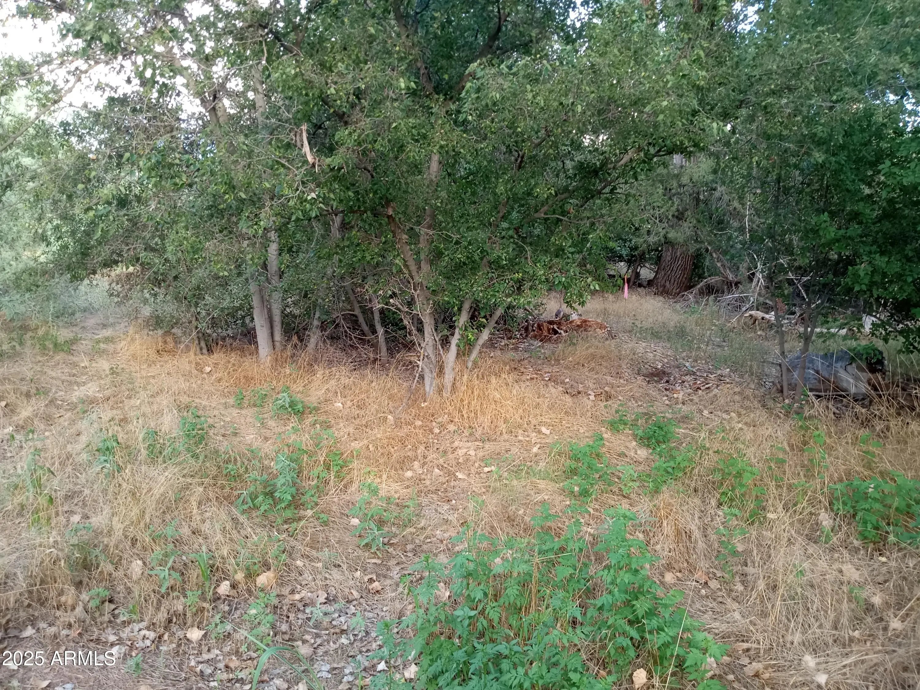 Photo of Listing #6898547