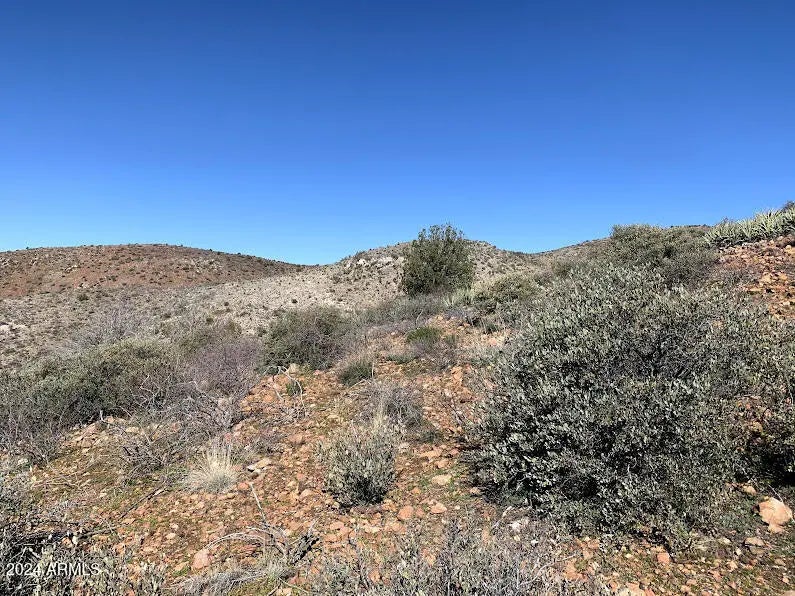 Photo of Listing #6900148