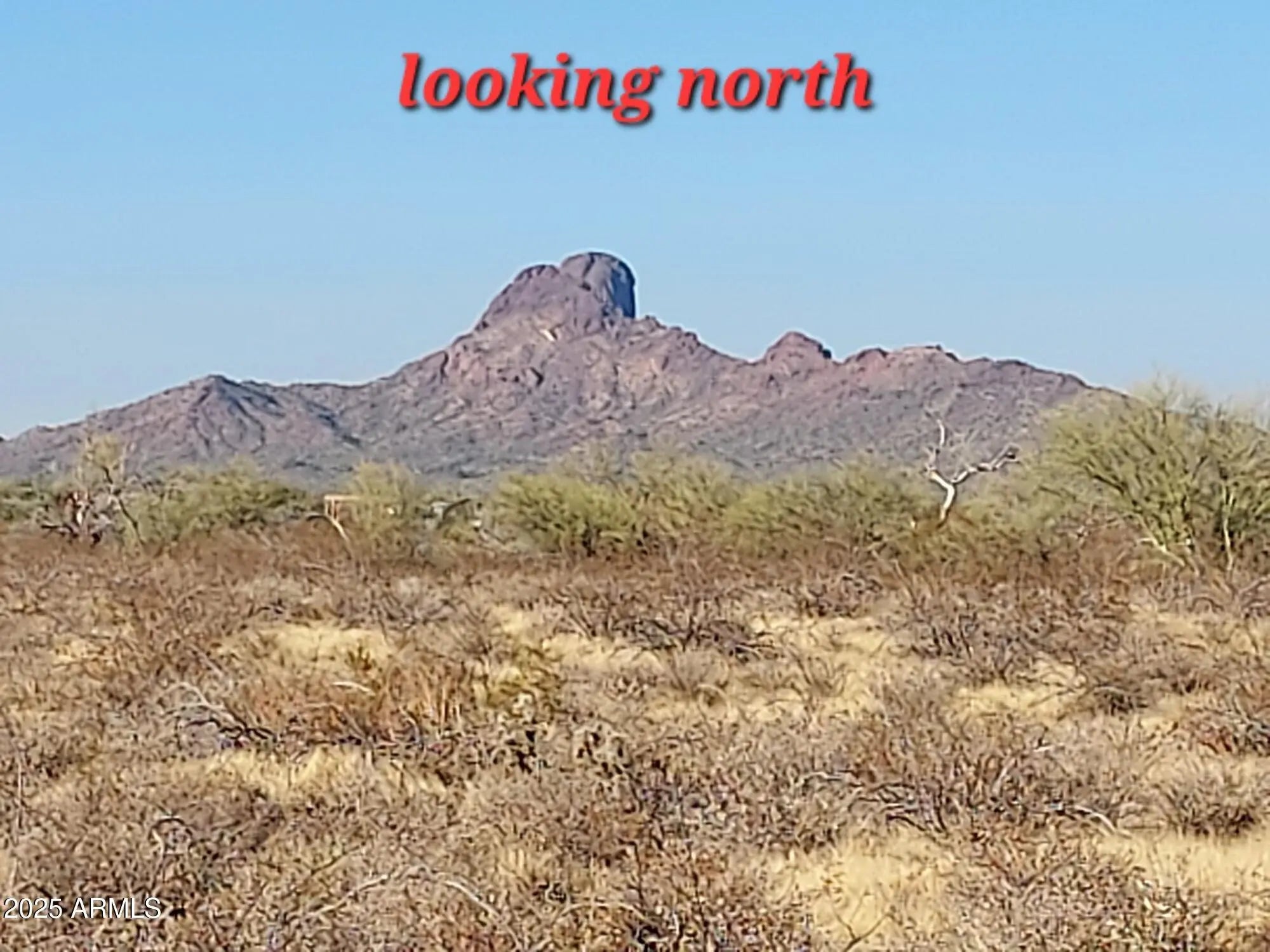 Photo of Listing #6900184