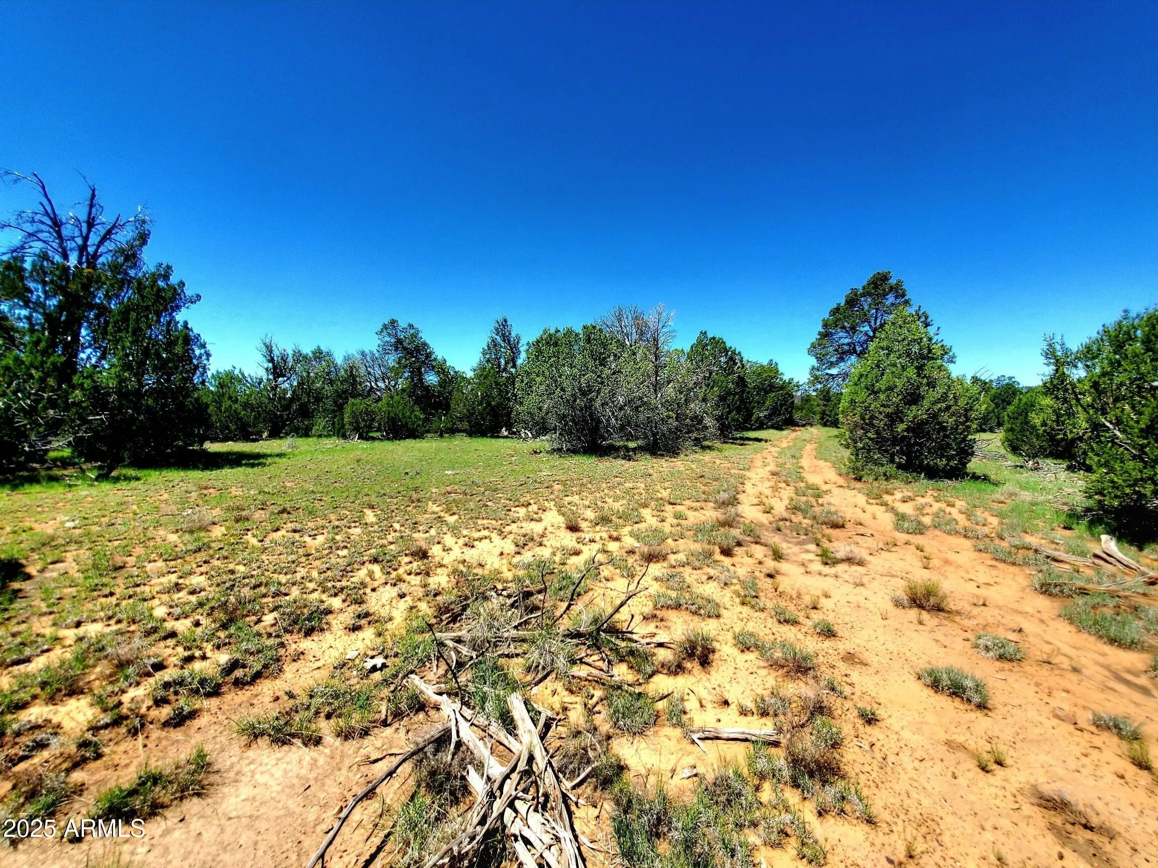 Photo of Listing #6900485