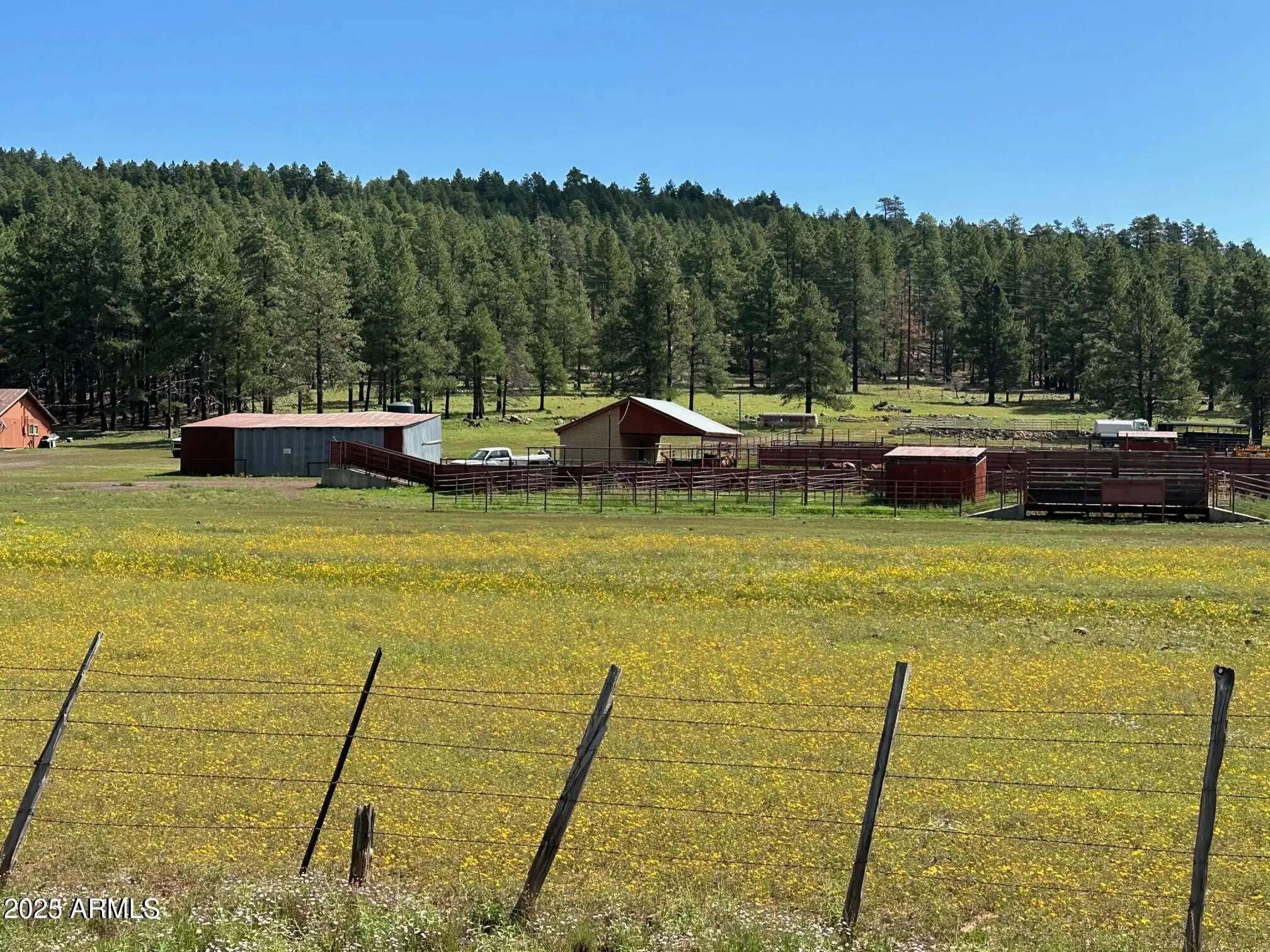 Photo of Listing #6901060