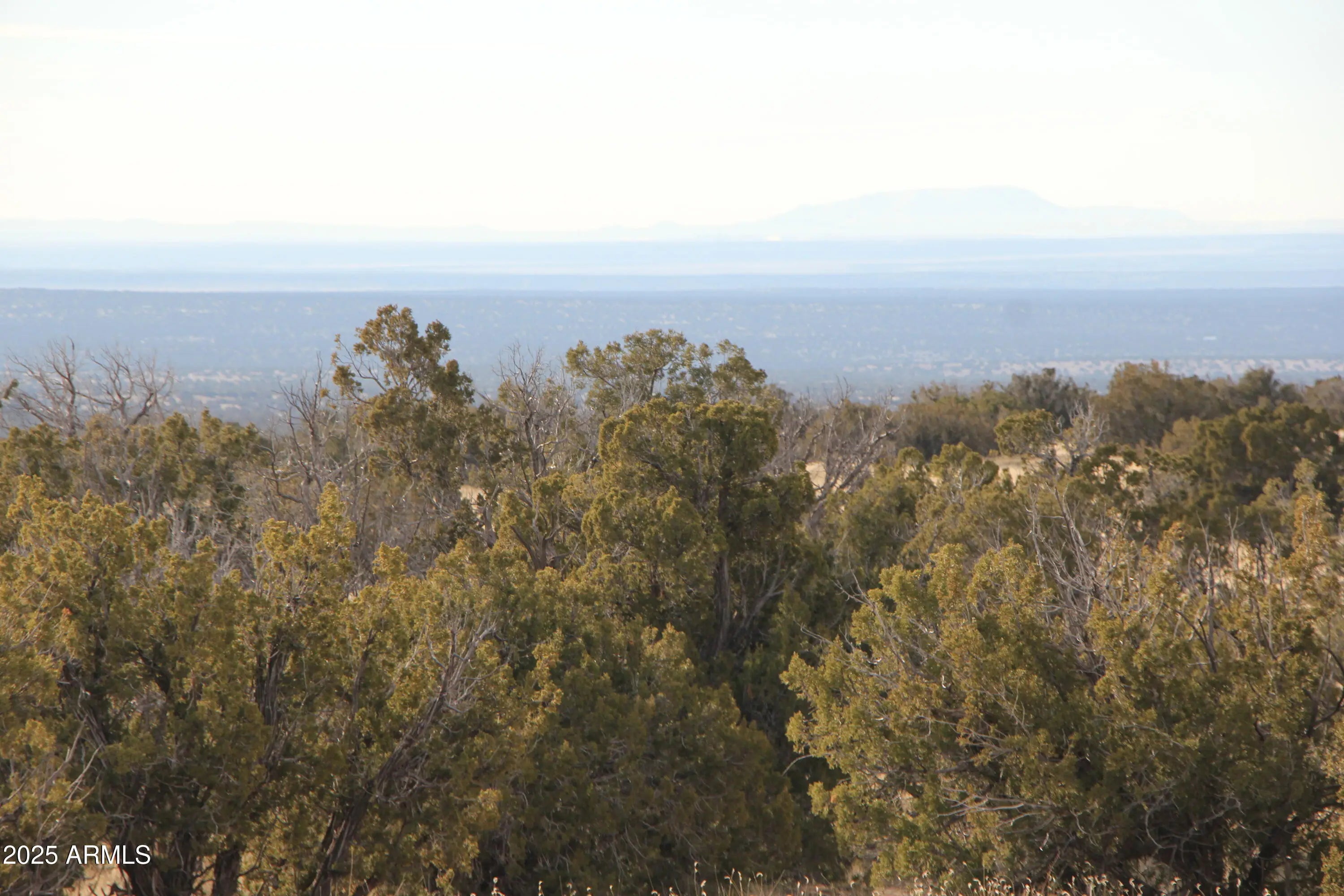 Photo of Listing #6901324