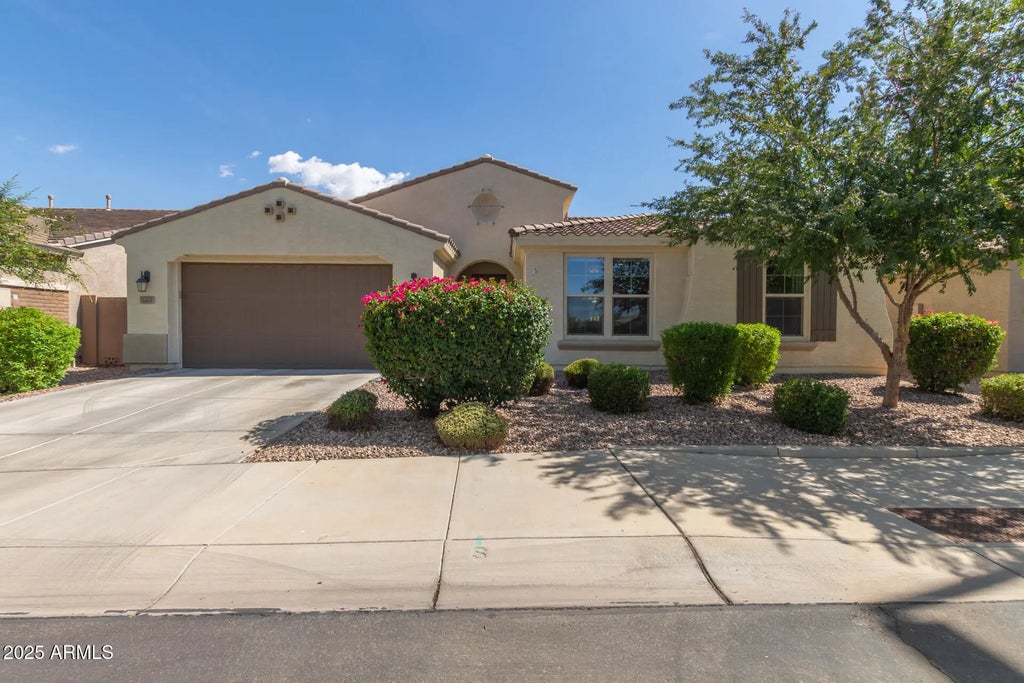 3681 E Narrowleaf Drive, Gilbert