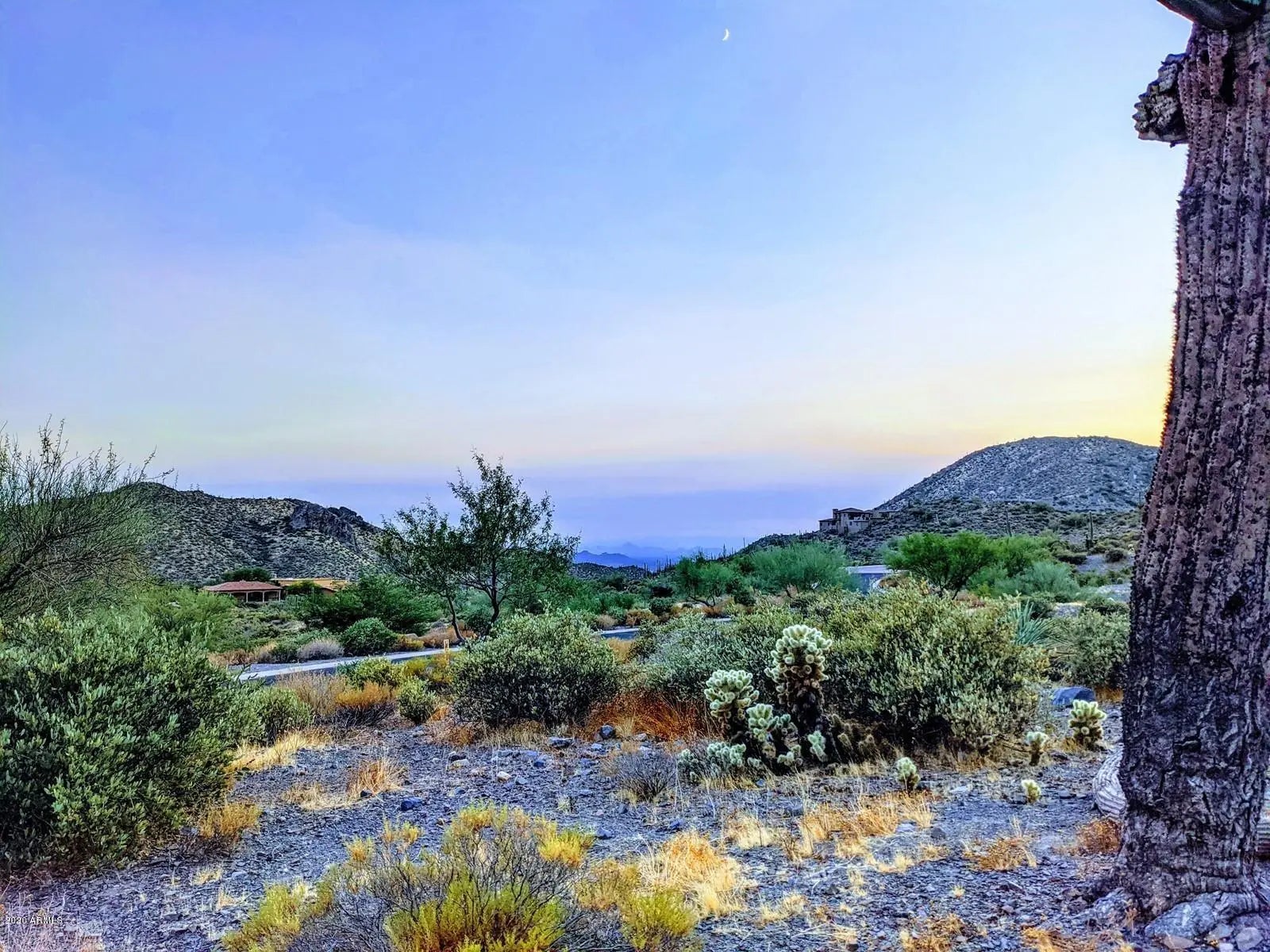 Photo of Listing #6936389