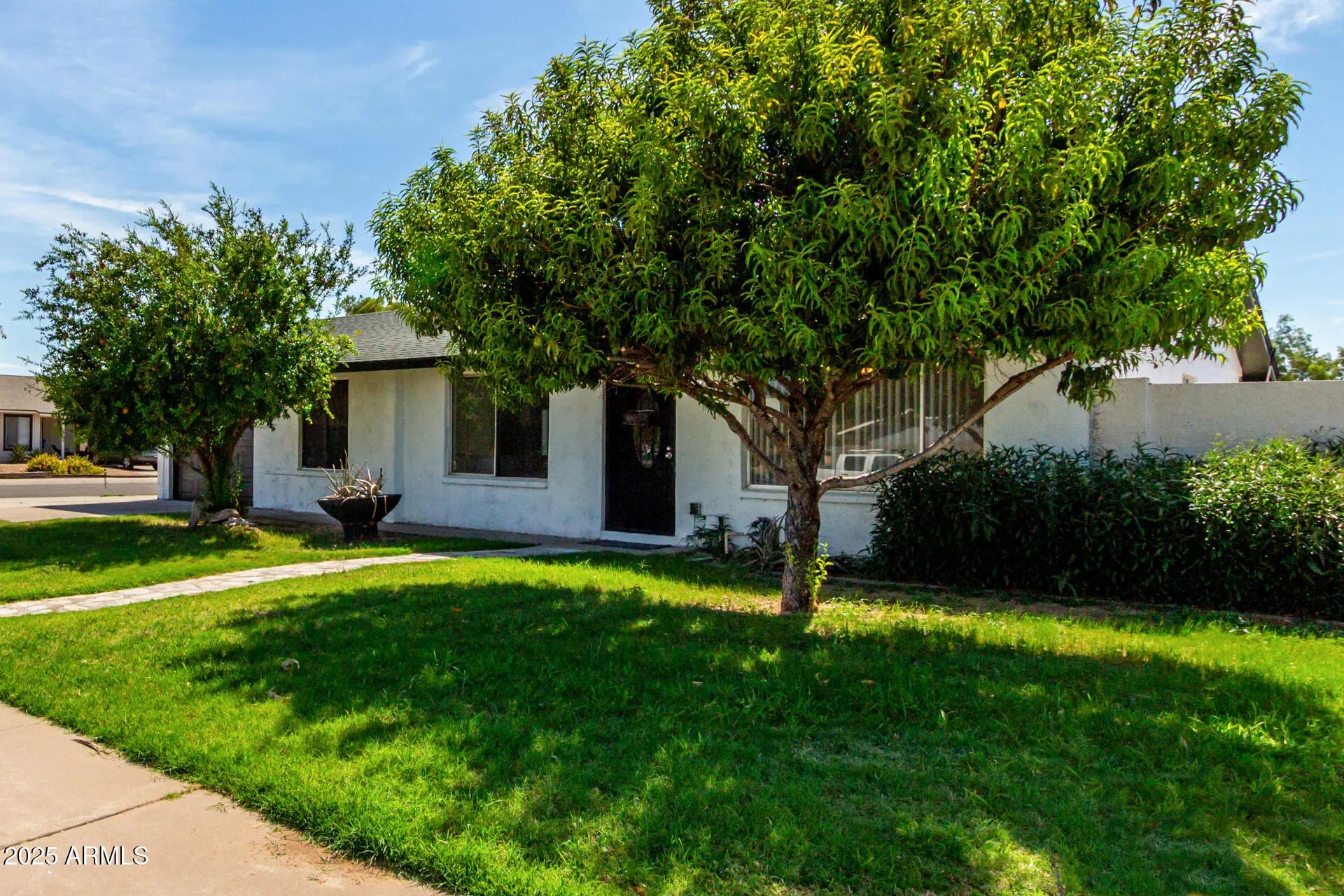 Photo of Listing #6902879