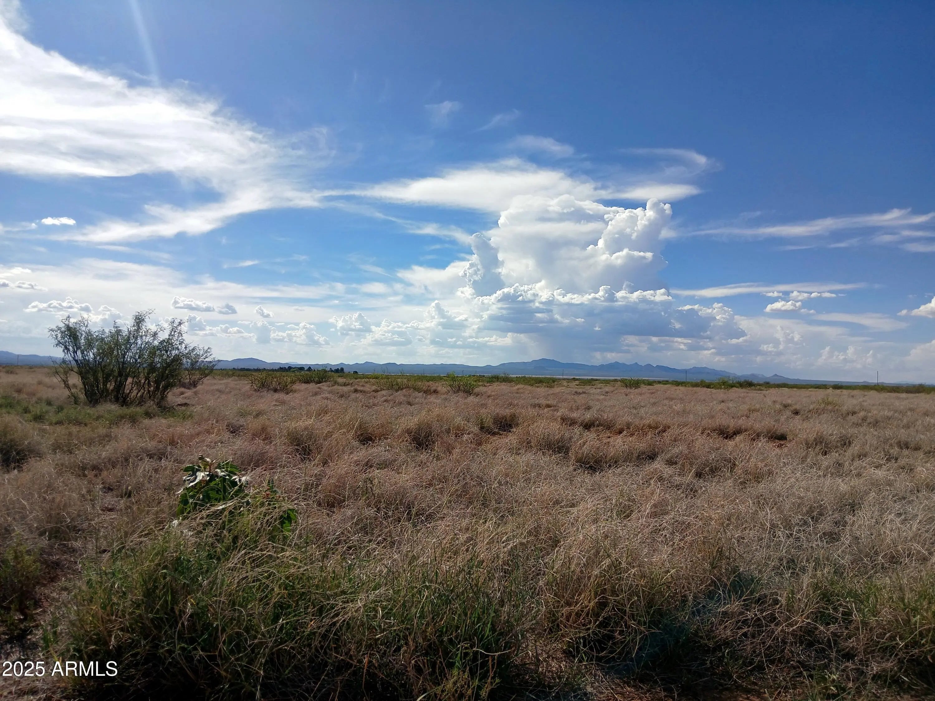 Photo of Listing #6902591