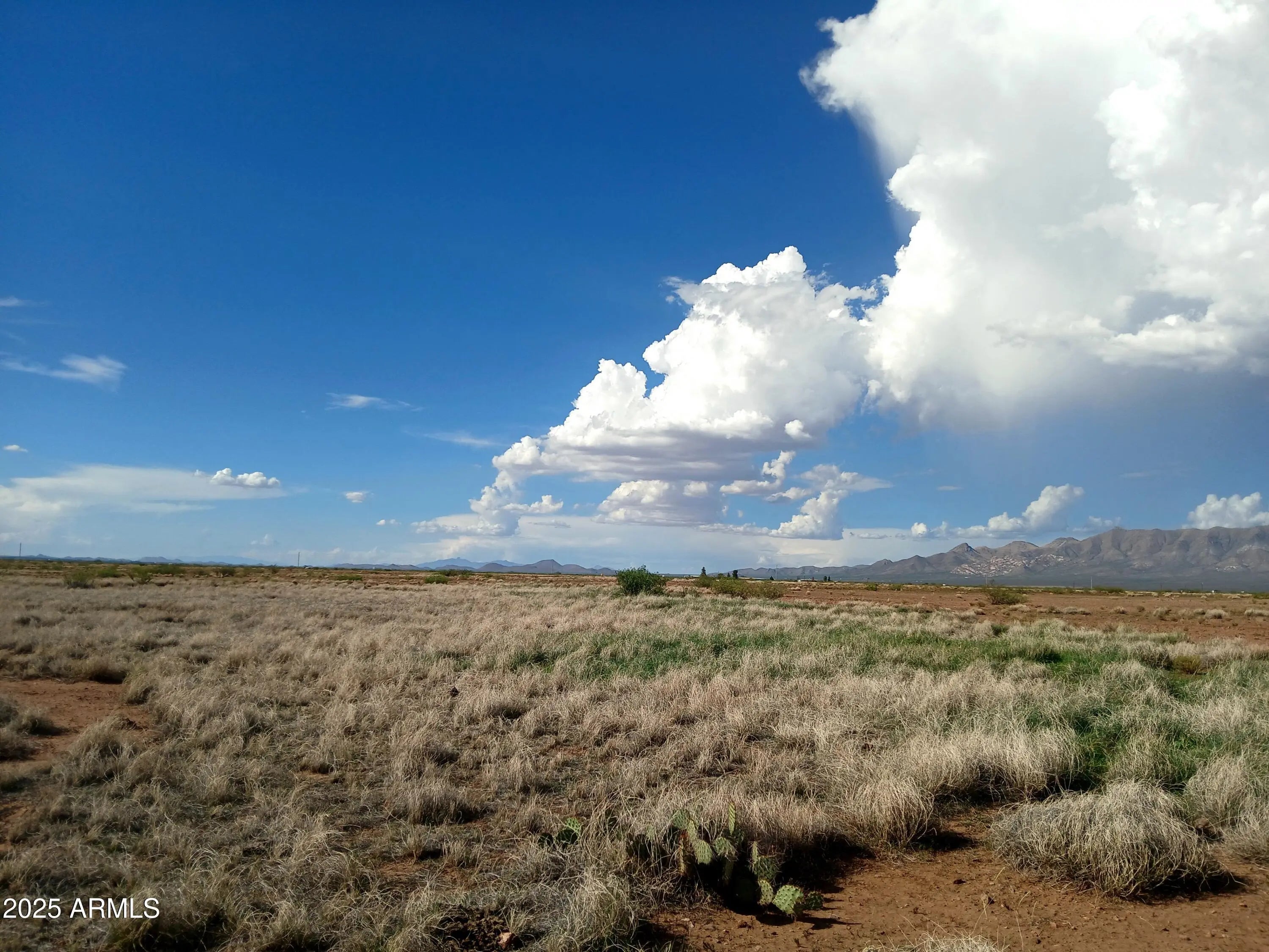 Photo of Listing #6902612