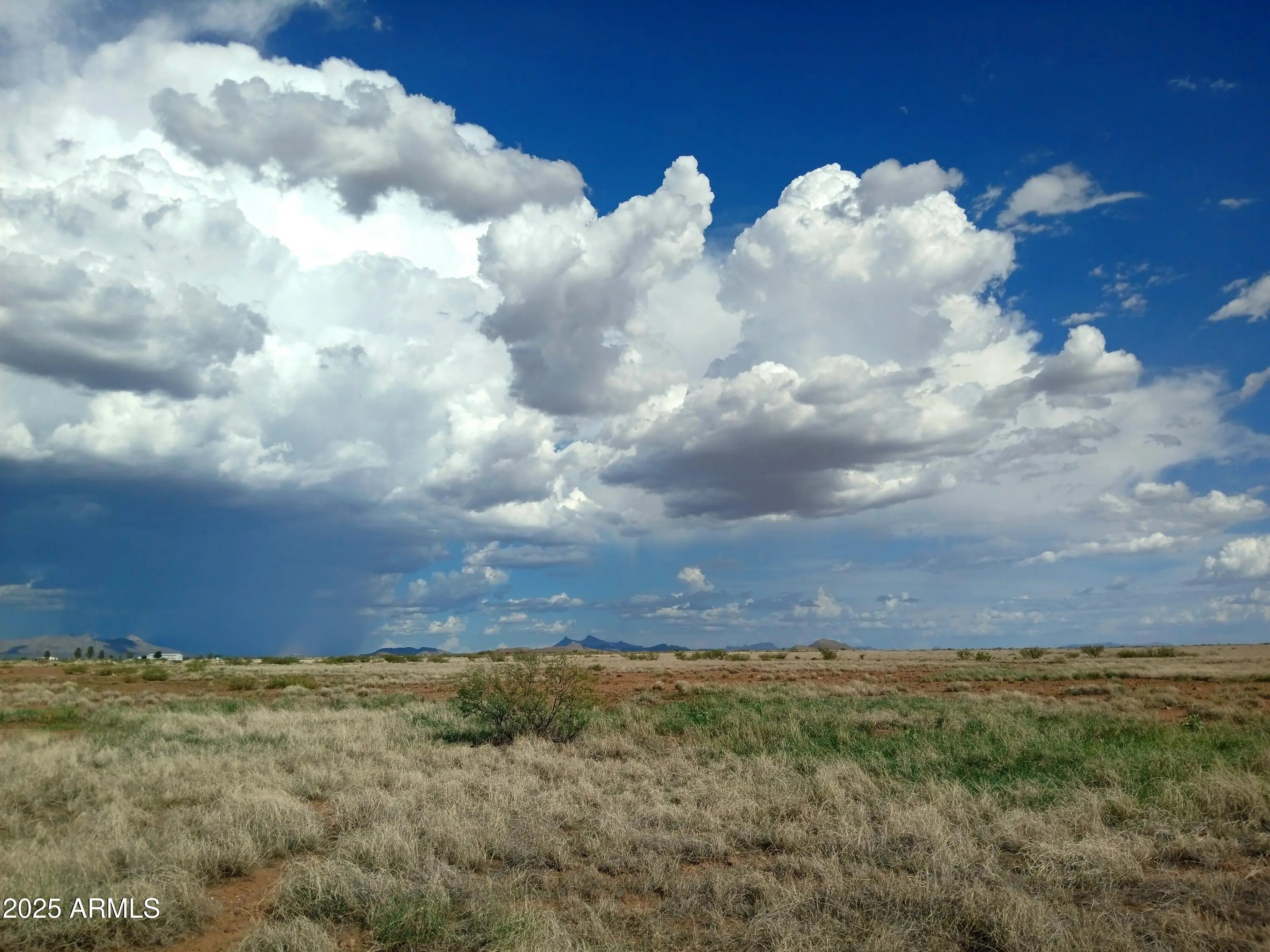 Photo of Listing #6902654