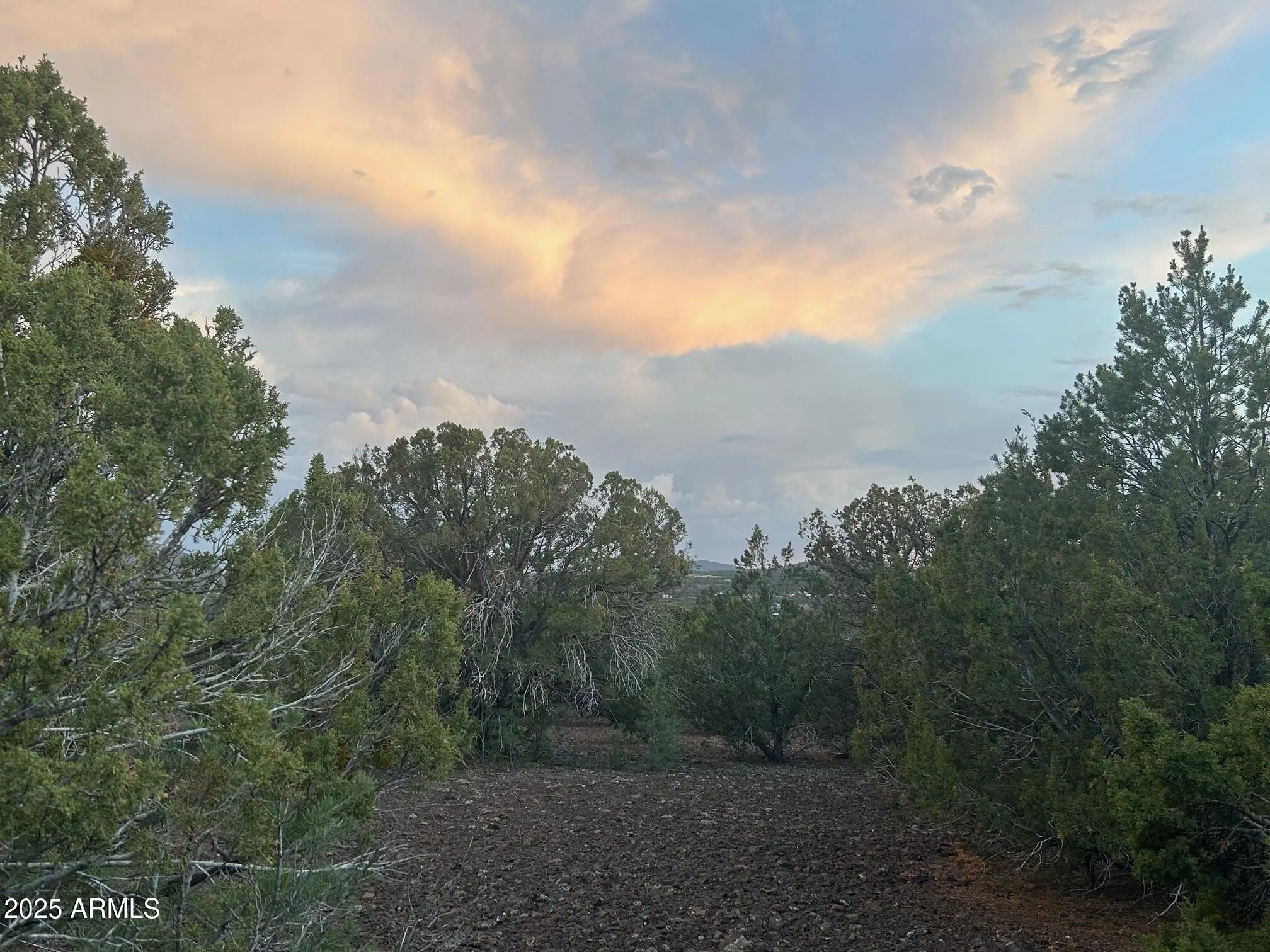 Photo of Listing #6905063