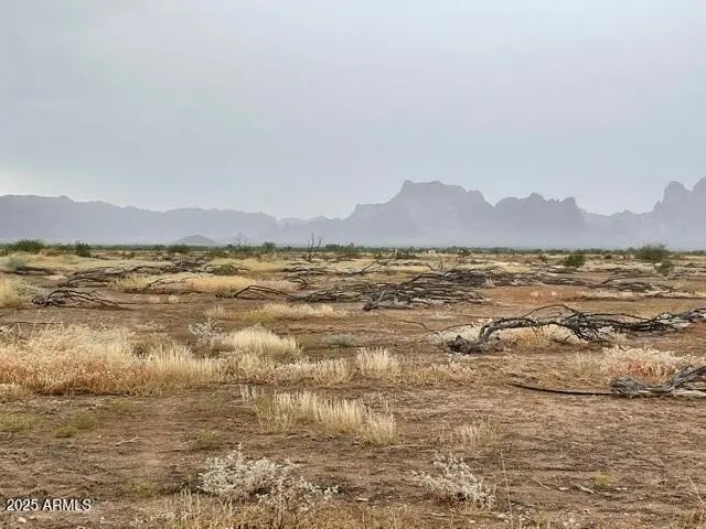 Photo of Listing #6904962