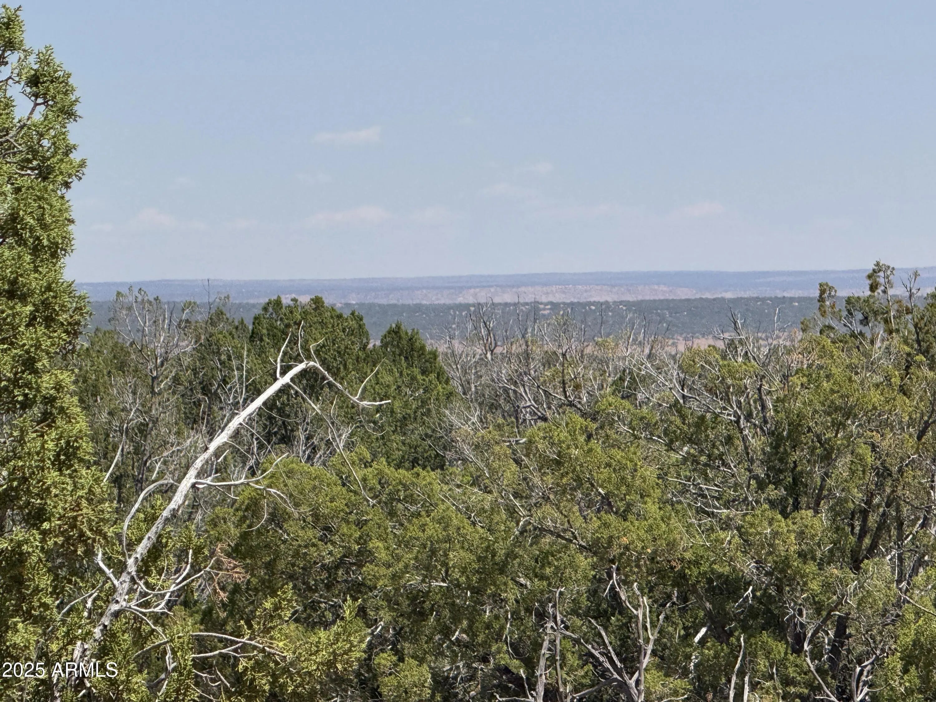 Photo of Listing #6905789