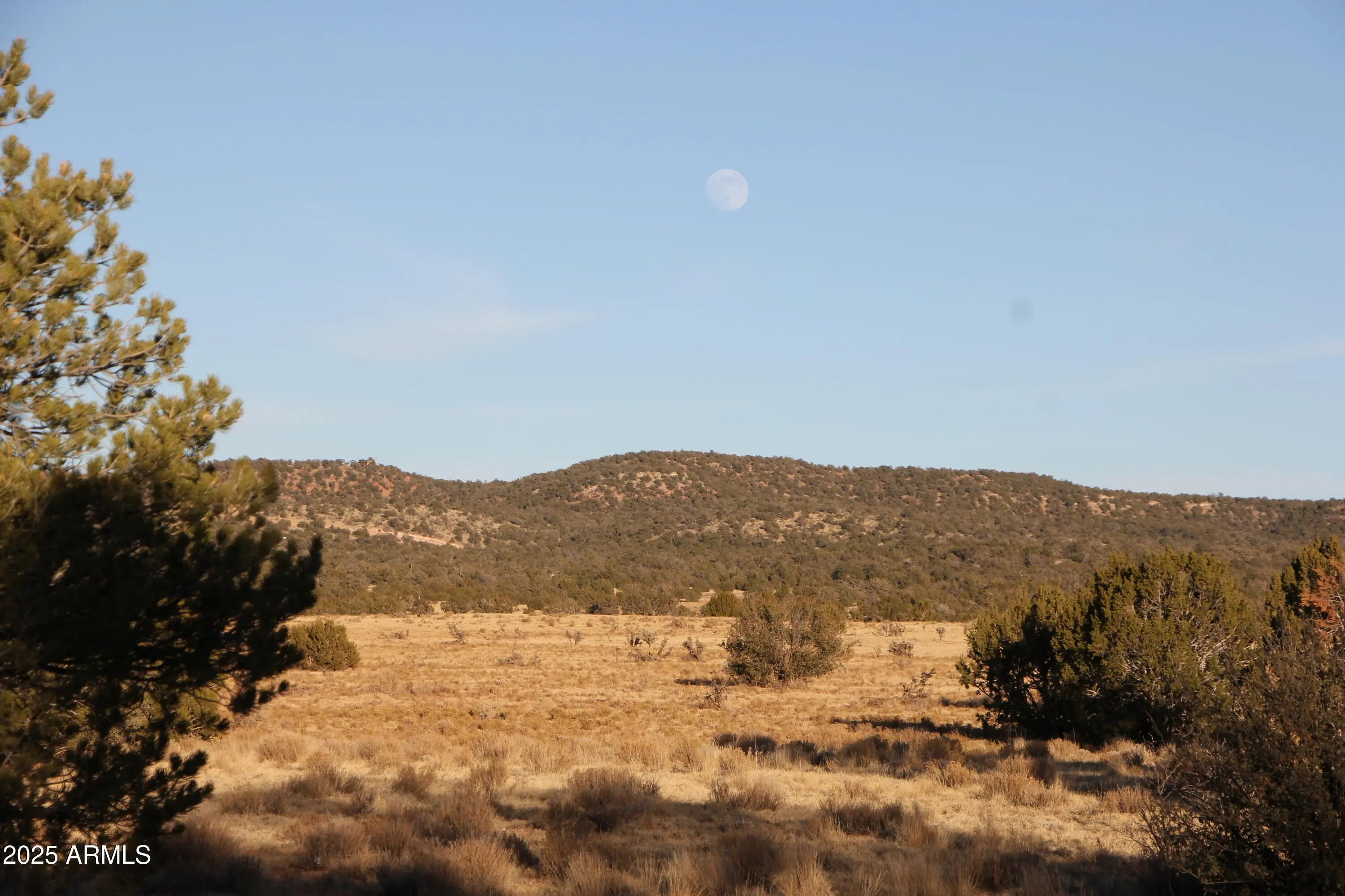 Photo of Listing #6905347