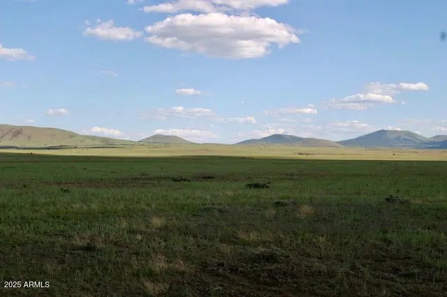 Photo of Listing #6905357