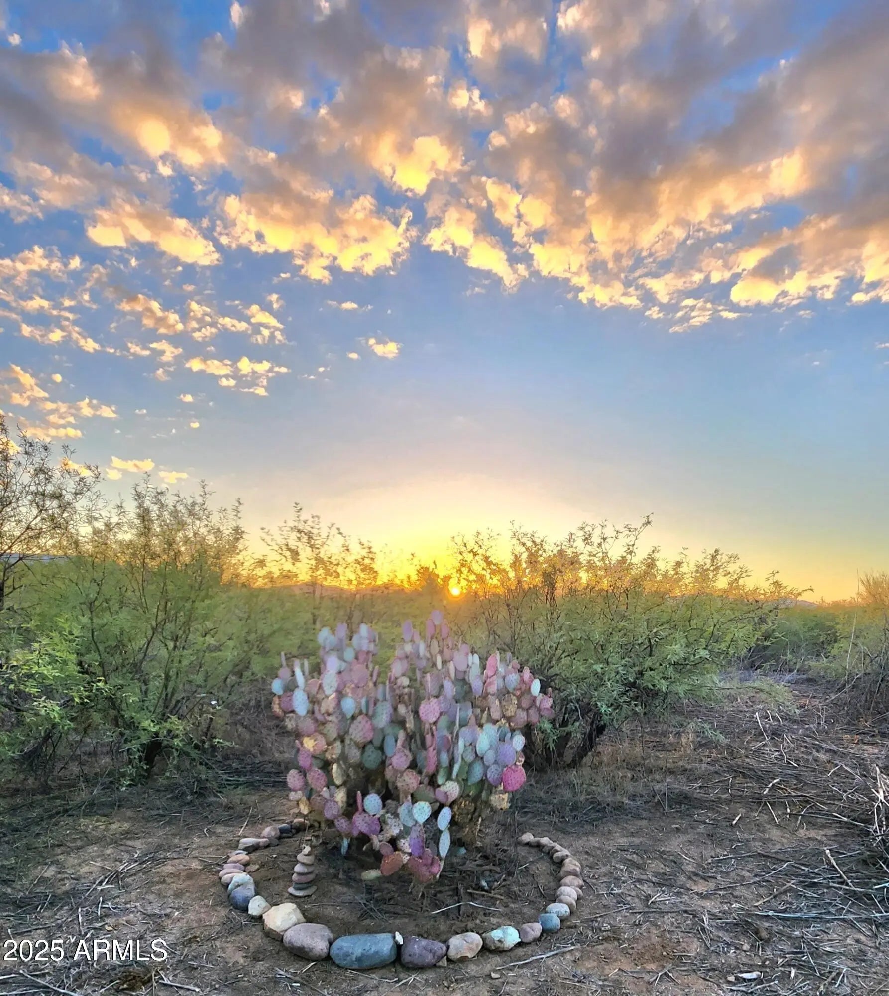 Photo of Listing #6906042