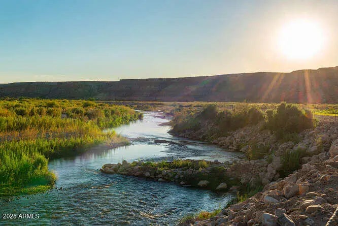 Photo of Listing #6908567