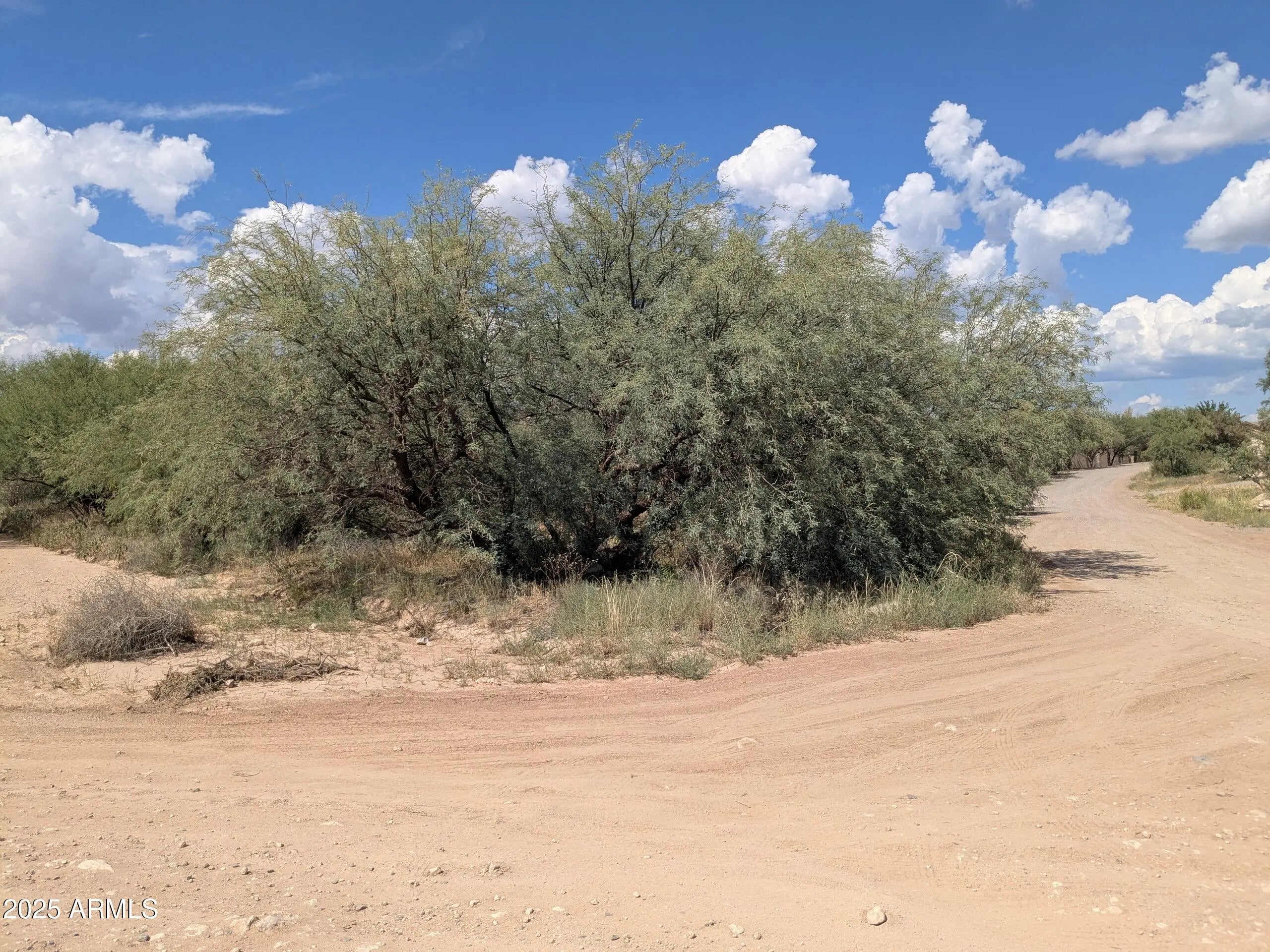 Photo of Listing #6906002